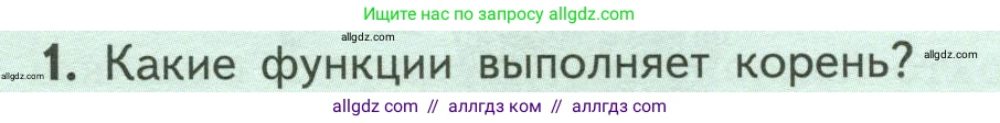 Биология, 6 класс Учебник, авторы: Пасечник Владимир Васильевич, Суматохин Сергей Витальевич, Гапонюк Зоя Георгиевна, Швецов Глеб Геннадьевич, издательство Просвещение, Москва, 2023, белого цвета, страница 46, номер 1, Условие
