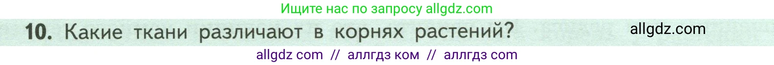 Биология, 6 класс Учебник, авторы: Пасечник Владимир Васильевич, Суматохин Сергей Витальевич, Гапонюк Зоя Георгиевна, Швецов Глеб Геннадьевич, издательство Просвещение, Москва, 2023, белого цвета, страница 46, номер 10, Условие
