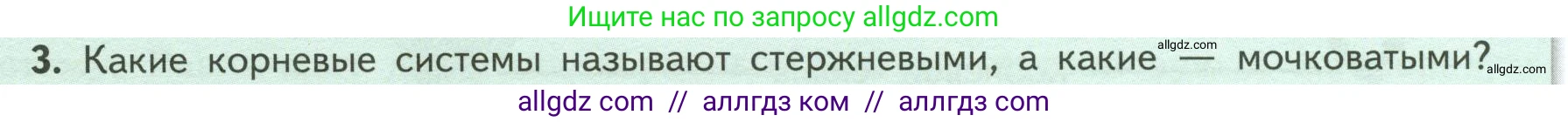 Биология, 6 класс Учебник, авторы: Пасечник Владимир Васильевич, Суматохин Сергей Витальевич, Гапонюк Зоя Георгиевна, Швецов Глеб Геннадьевич, издательство Просвещение, Москва, 2023, белого цвета, страница 46, номер 3, Условие