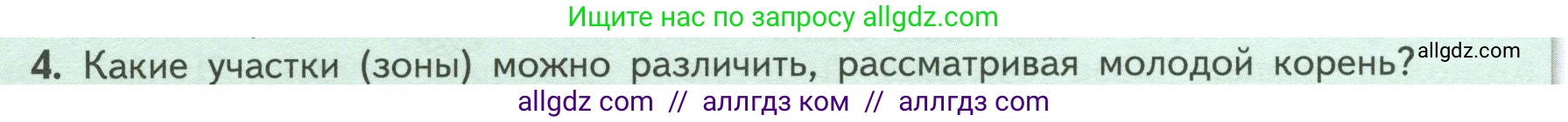Биология, 6 класс Учебник, авторы: Пасечник Владимир Васильевич, Суматохин Сергей Витальевич, Гапонюк Зоя Георгиевна, Швецов Глеб Геннадьевич, издательство Просвещение, Москва, 2023, белого цвета, страница 46, номер 4, Условие