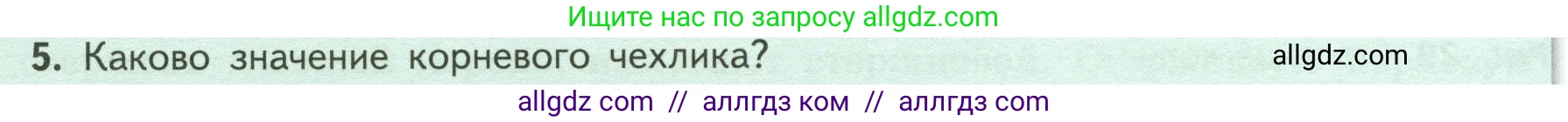 Биология, 6 класс Учебник, авторы: Пасечник Владимир Васильевич, Суматохин Сергей Витальевич, Гапонюк Зоя Георгиевна, Швецов Глеб Геннадьевич, издательство Просвещение, Москва, 2023, белого цвета, страница 46, номер 5, Условие