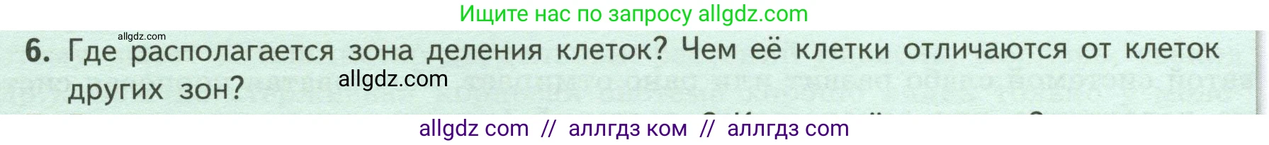 Биология, 6 класс Учебник, авторы: Пасечник Владимир Васильевич, Суматохин Сергей Витальевич, Гапонюк Зоя Георгиевна, Швецов Глеб Геннадьевич, издательство Просвещение, Москва, 2023, белого цвета, страница 46, номер 6, Условие