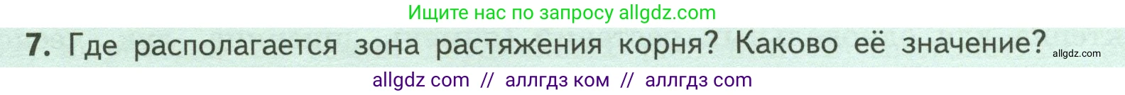 Биология, 6 класс Учебник, авторы: Пасечник Владимир Васильевич, Суматохин Сергей Витальевич, Гапонюк Зоя Георгиевна, Швецов Глеб Геннадьевич, издательство Просвещение, Москва, 2023, белого цвета, страница 46, номер 7, Условие