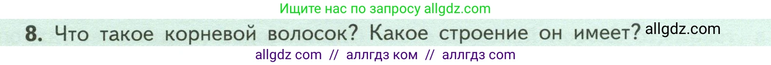 Биология, 6 класс Учебник, авторы: Пасечник Владимир Васильевич, Суматохин Сергей Витальевич, Гапонюк Зоя Георгиевна, Швецов Глеб Геннадьевич, издательство Просвещение, Москва, 2023, белого цвета, страница 46, номер 8, Условие