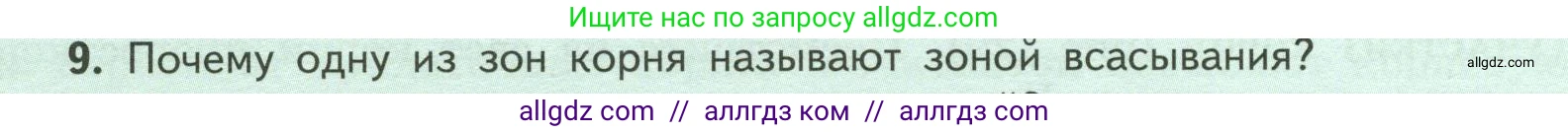 Биология, 6 класс Учебник, авторы: Пасечник Владимир Васильевич, Суматохин Сергей Витальевич, Гапонюк Зоя Георгиевна, Швецов Глеб Геннадьевич, издательство Просвещение, Москва, 2023, белого цвета, страница 46, номер 9, Условие
