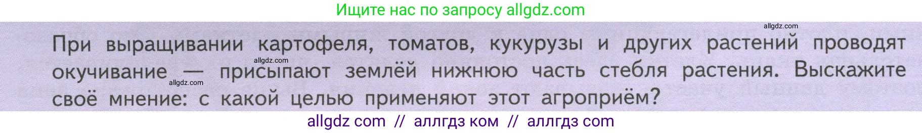 Биология, 6 класс Учебник, авторы: Пасечник Владимир Васильевич, Суматохин Сергей Витальевич, Гапонюк Зоя Георгиевна, Швецов Глеб Геннадьевич, издательство Просвещение, Москва, 2023, белого цвета, страница 46, Условие
