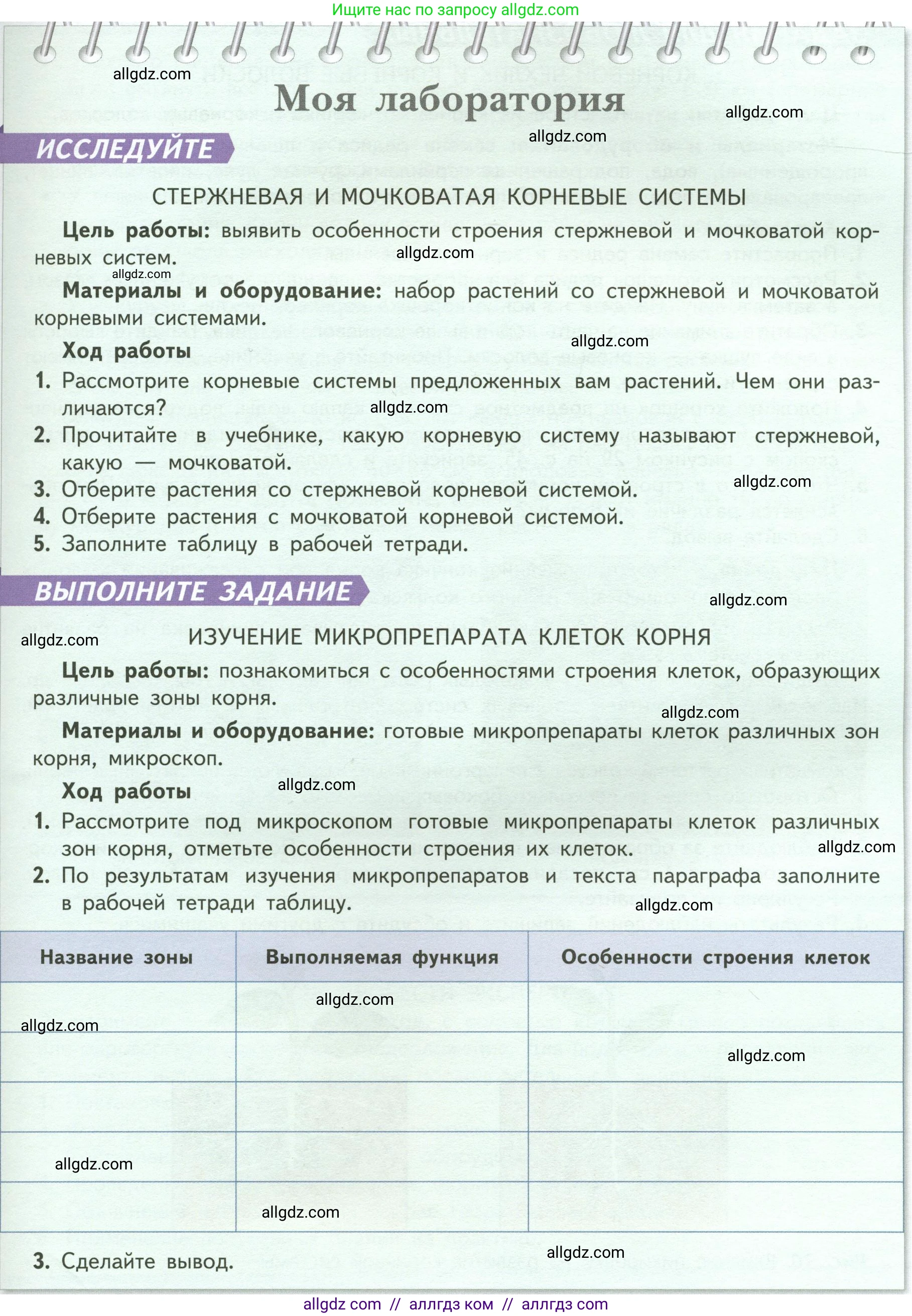 Биология, 6 класс Учебник, авторы: Пасечник Владимир Васильевич, Суматохин Сергей Витальевич, Гапонюк Зоя Георгиевна, Швецов Глеб Геннадьевич, издательство Просвещение, Москва, 2023, белого цвета, страница 47, Условие