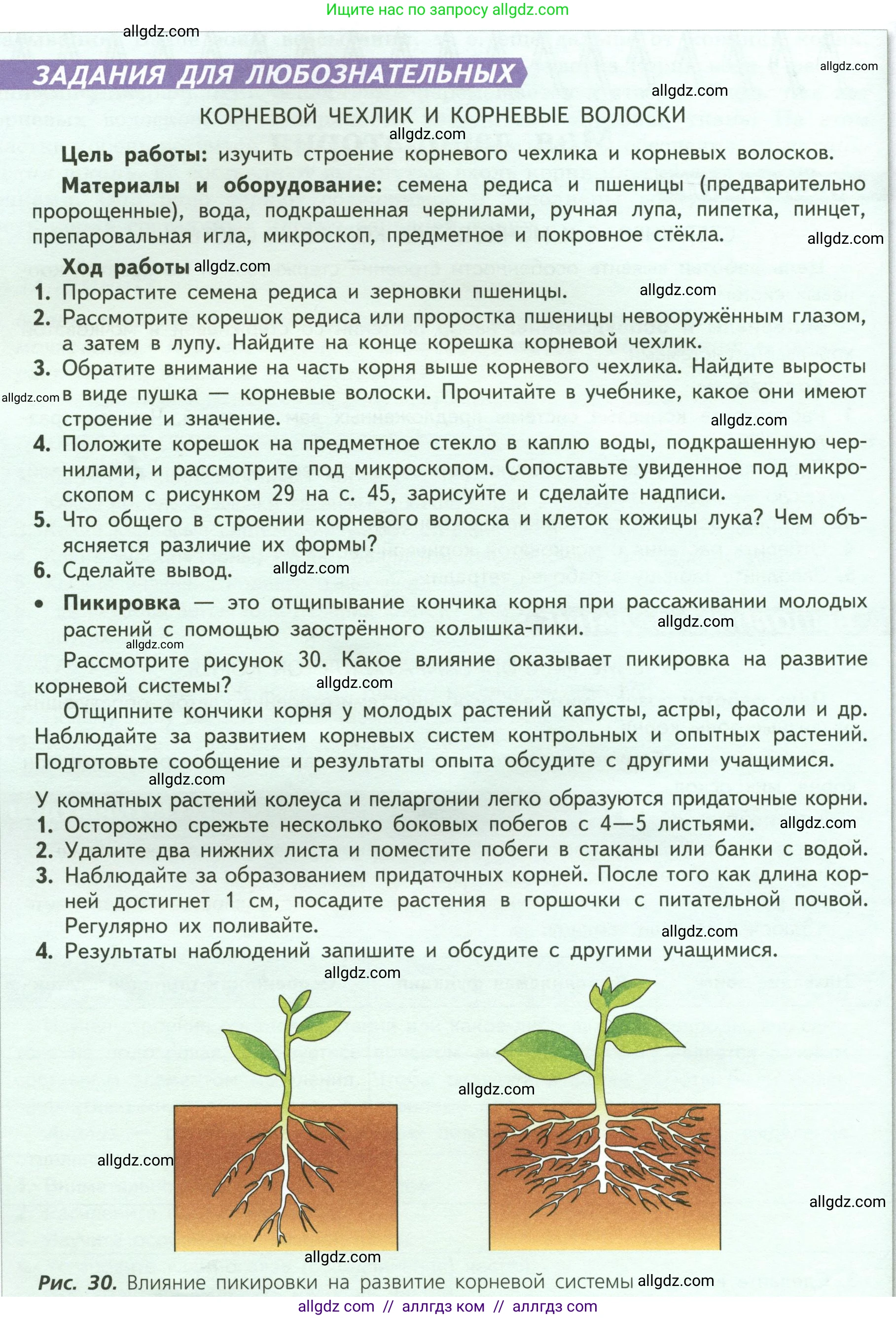 Биология, 6 класс Учебник, авторы: Пасечник Владимир Васильевич, Суматохин Сергей Витальевич, Гапонюк Зоя Георгиевна, Швецов Глеб Геннадьевич, издательство Просвещение, Москва, 2023, белого цвета, страница 47, Условие (продолжение 2)