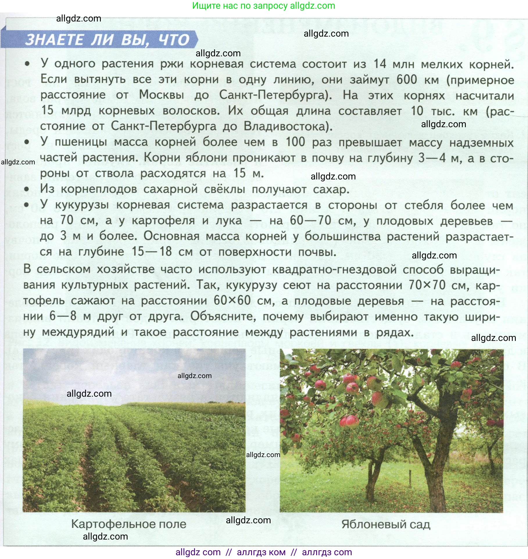 Биология, 6 класс Учебник, авторы: Пасечник Владимир Васильевич, Суматохин Сергей Витальевич, Гапонюк Зоя Георгиевна, Швецов Глеб Геннадьевич, издательство Просвещение, Москва, 2023, белого цвета, страница 47, Условие (продолжение 3)