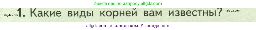 Биология, 6 класс Учебник, авторы: Пасечник Владимир Васильевич, Суматохин Сергей Витальевич, Гапонюк Зоя Георгиевна, Швецов Глеб Геннадьевич, издательство Просвещение, Москва, 2023, белого цвета, страница 50, номер 1, Условие