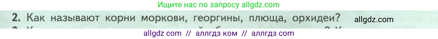 Биология, 6 класс Учебник, авторы: Пасечник Владимир Васильевич, Суматохин Сергей Витальевич, Гапонюк Зоя Георгиевна, Швецов Глеб Геннадьевич, издательство Просвещение, Москва, 2023, белого цвета, страница 51, номер 2, Условие