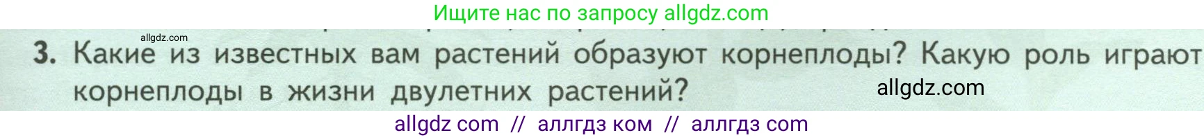 Биология, 6 класс Учебник, авторы: Пасечник Владимир Васильевич, Суматохин Сергей Витальевич, Гапонюк Зоя Георгиевна, Швецов Глеб Геннадьевич, издательство Просвещение, Москва, 2023, белого цвета, страница 51, номер 3, Условие