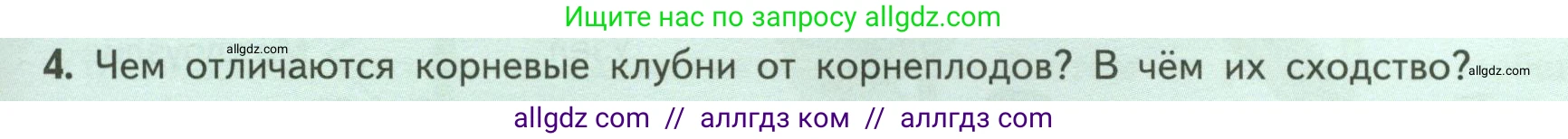 Биология, 6 класс Учебник, авторы: Пасечник Владимир Васильевич, Суматохин Сергей Витальевич, Гапонюк Зоя Георгиевна, Швецов Глеб Геннадьевич, издательство Просвещение, Москва, 2023, белого цвета, страница 51, номер 4, Условие