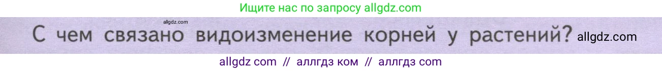 Биология, 6 класс Учебник, авторы: Пасечник Владимир Васильевич, Суматохин Сергей Витальевич, Гапонюк Зоя Георгиевна, Швецов Глеб Геннадьевич, издательство Просвещение, Москва, 2023, белого цвета, страница 51, Условие