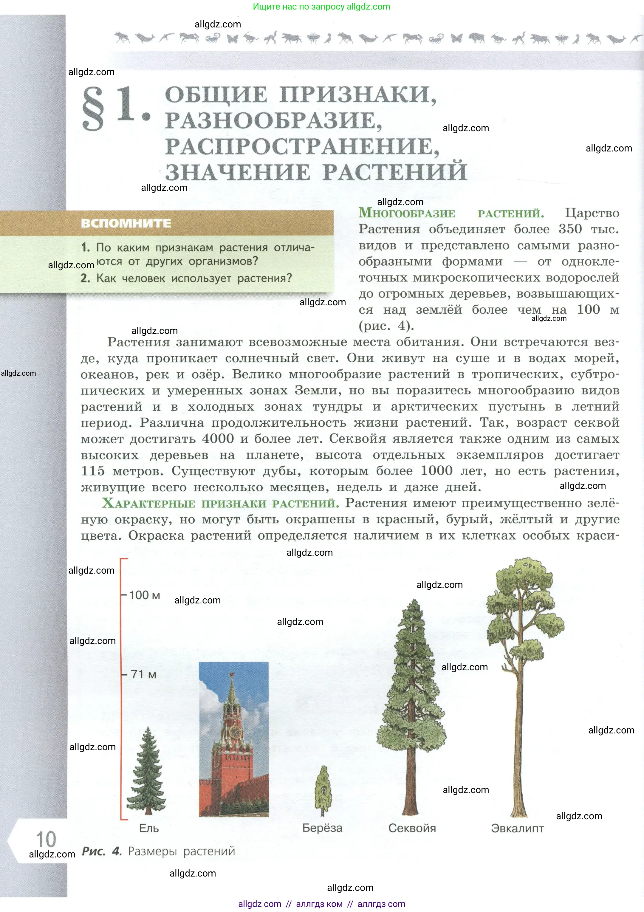 Биология, 6 класс Учебник, авторы: Пасечник Владимир Васильевич, Суматохин Сергей Витальевич, Гапонюк Зоя Георгиевна, Швецов Глеб Геннадьевич, издательство Просвещение, Москва, 2023, белого цвета, страница 10