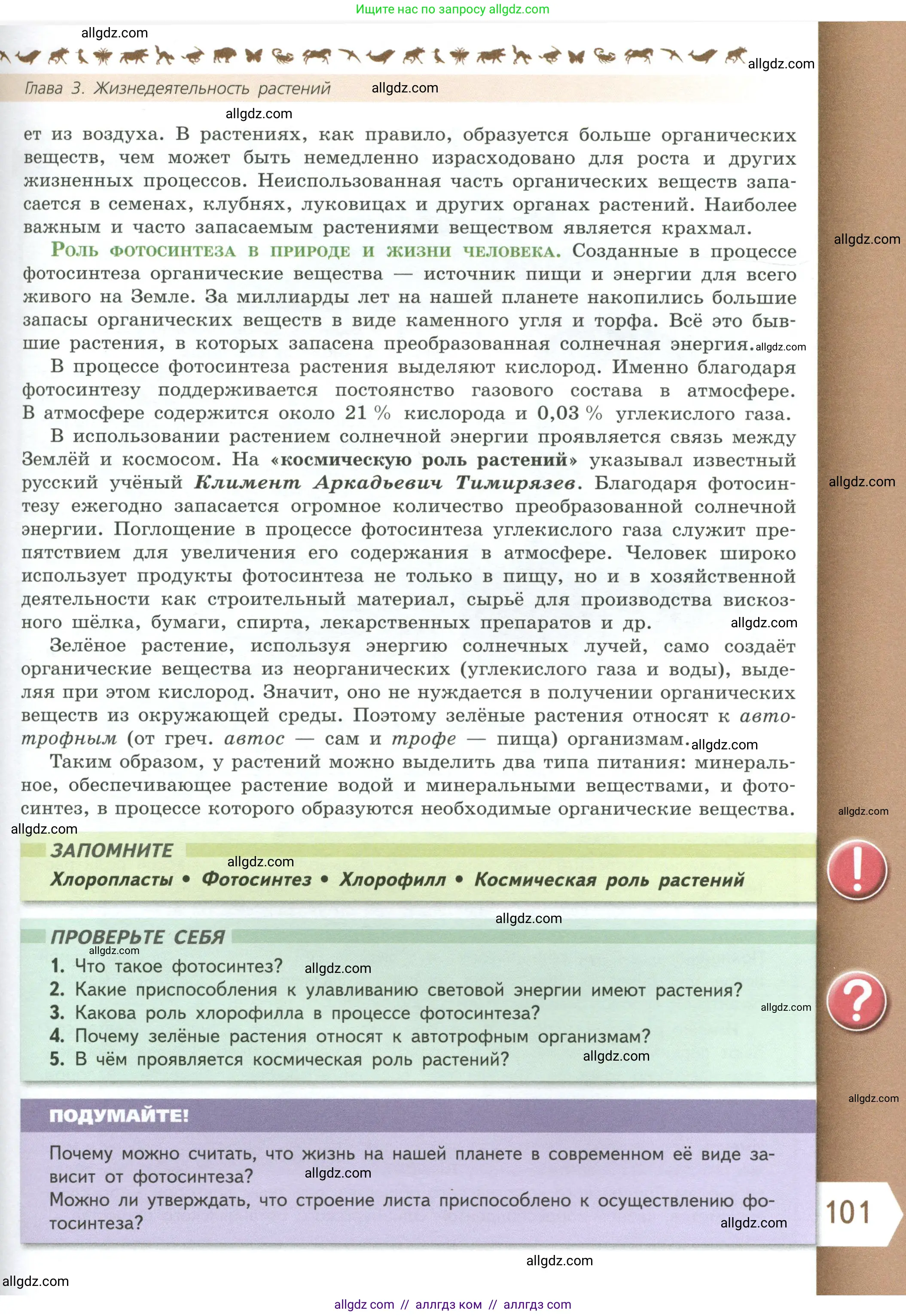 Биология, 6 класс Учебник, авторы: Пасечник Владимир Васильевич, Суматохин Сергей Витальевич, Гапонюк Зоя Георгиевна, Швецов Глеб Геннадьевич, издательство Просвещение, Москва, 2023, белого цвета, страница 101