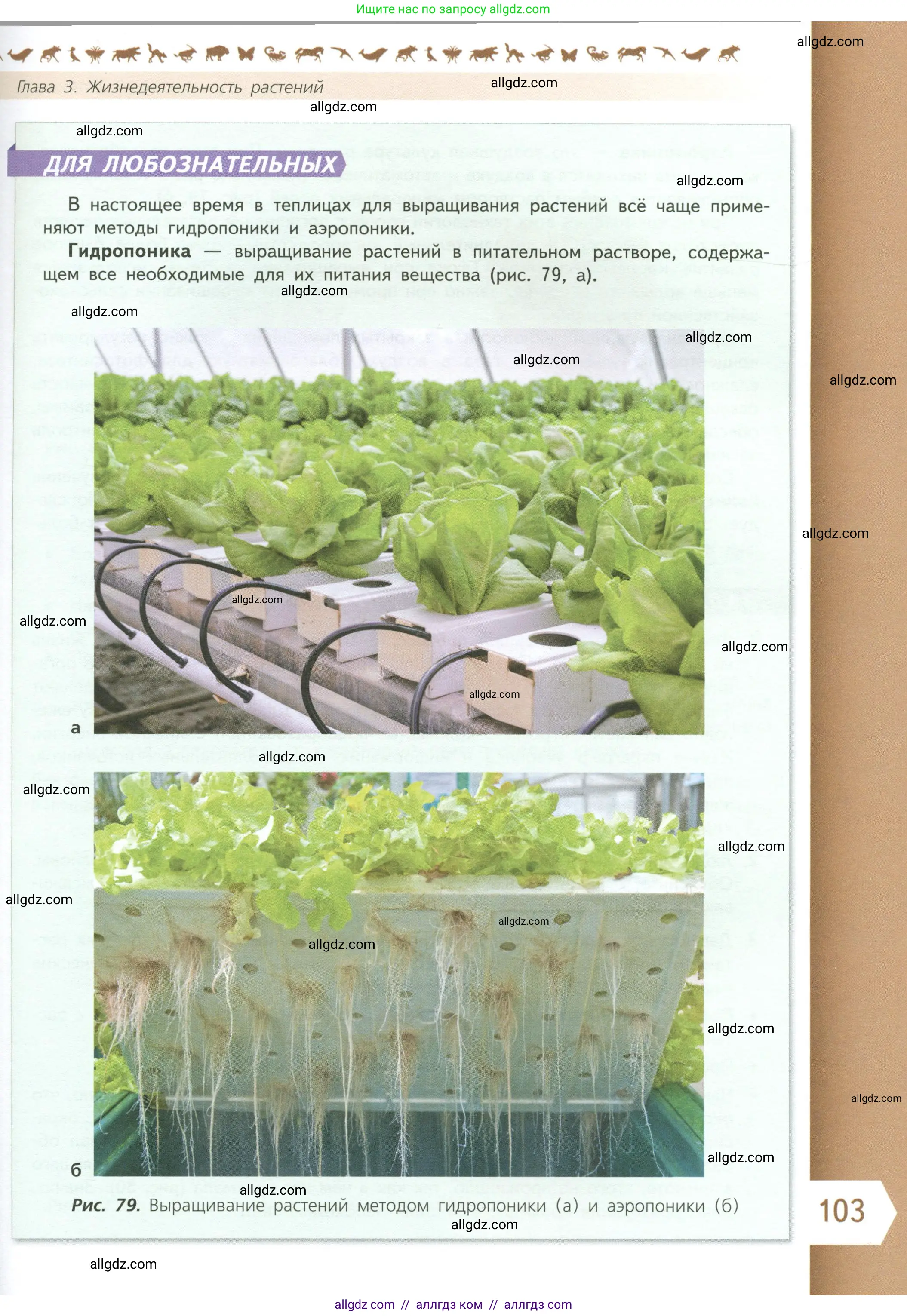 Биология, 6 класс Учебник, авторы: Пасечник Владимир Васильевич, Суматохин Сергей Витальевич, Гапонюк Зоя Георгиевна, Швецов Глеб Геннадьевич, издательство Просвещение, Москва, 2023, белого цвета, страница 103