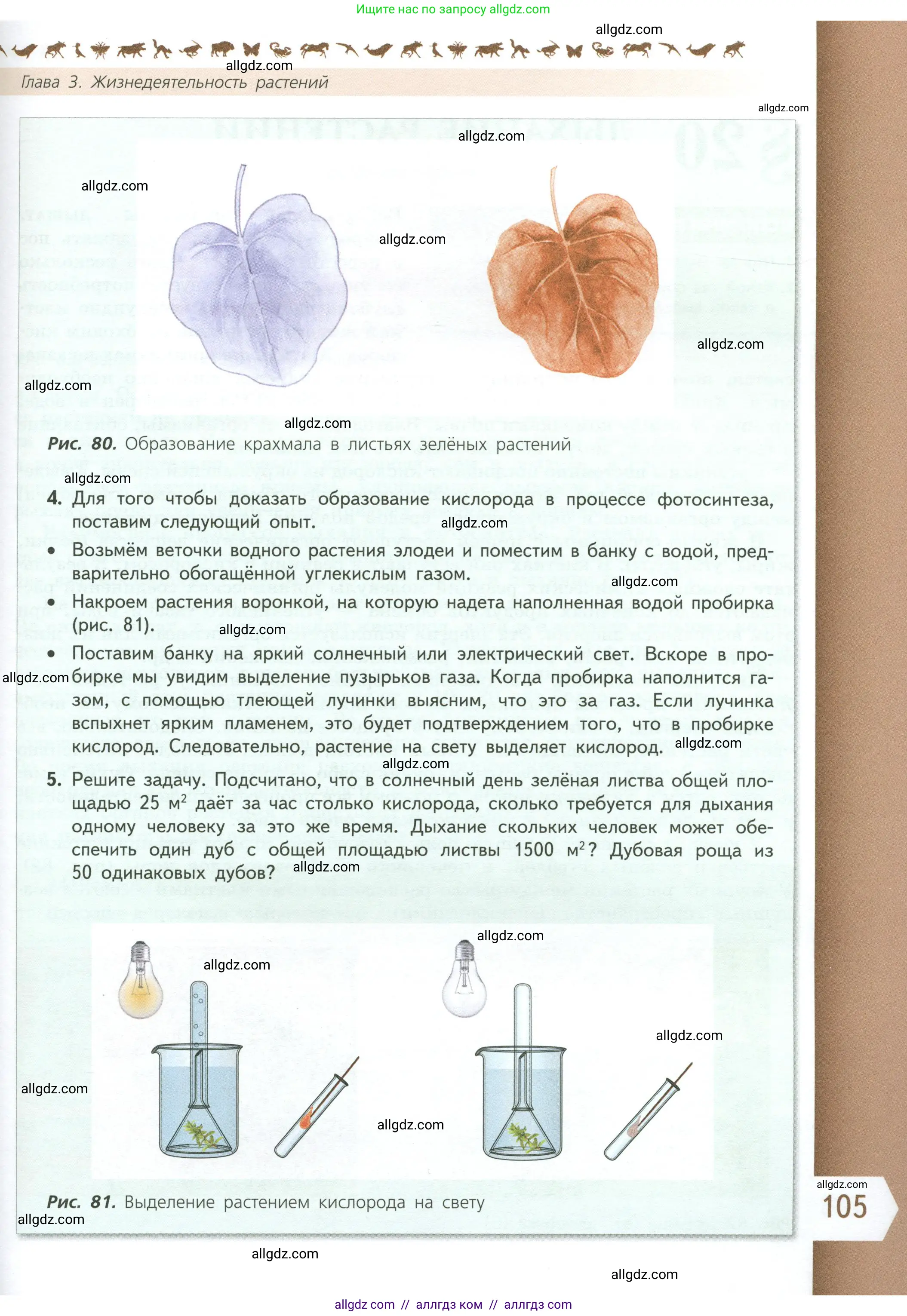 Биология, 6 класс Учебник, авторы: Пасечник Владимир Васильевич, Суматохин Сергей Витальевич, Гапонюк Зоя Георгиевна, Швецов Глеб Геннадьевич, издательство Просвещение, Москва, 2023, белого цвета, страница 105