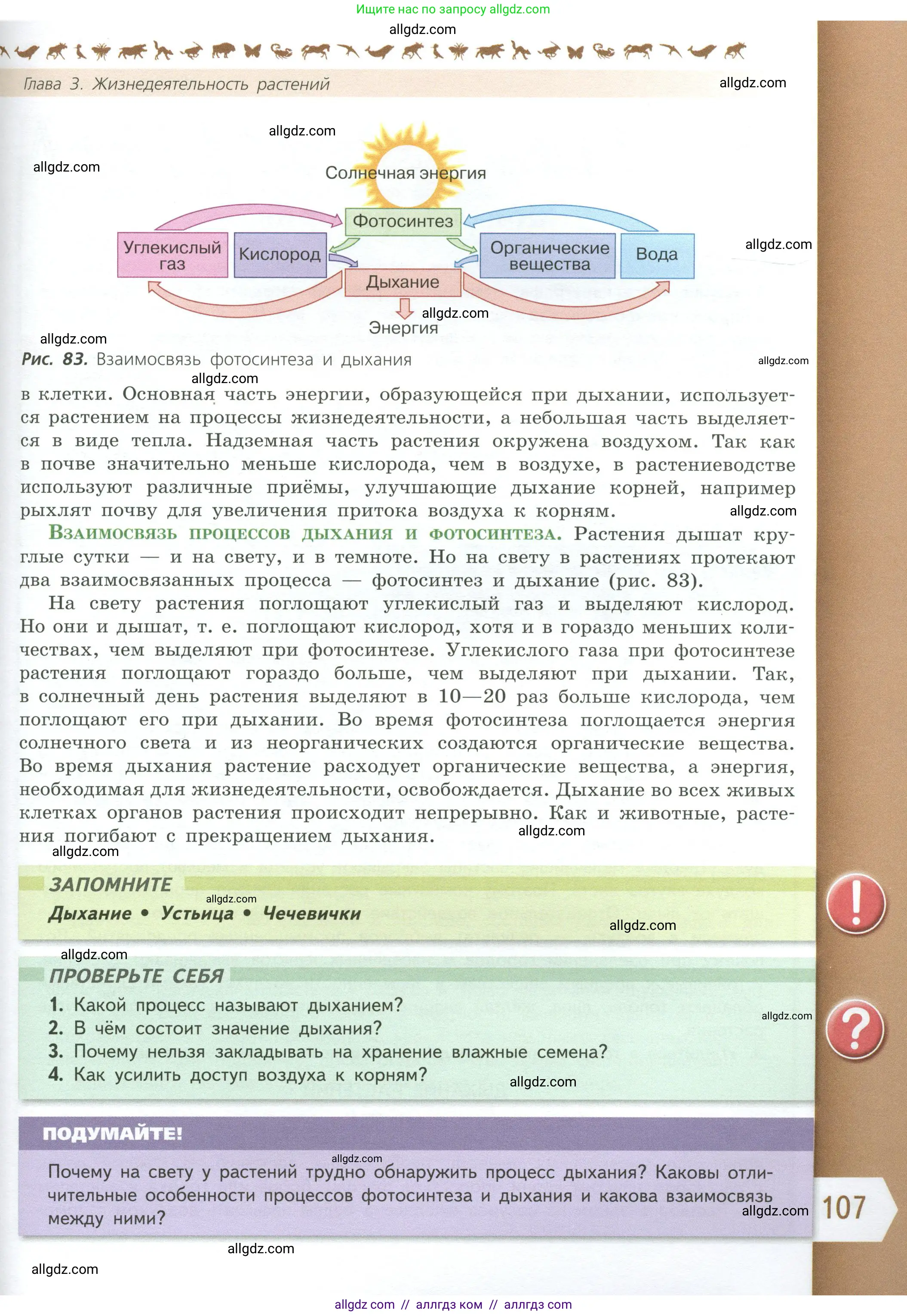 Биология, 6 класс Учебник, авторы: Пасечник Владимир Васильевич, Суматохин Сергей Витальевич, Гапонюк Зоя Георгиевна, Швецов Глеб Геннадьевич, издательство Просвещение, Москва, 2023, белого цвета, страница 107