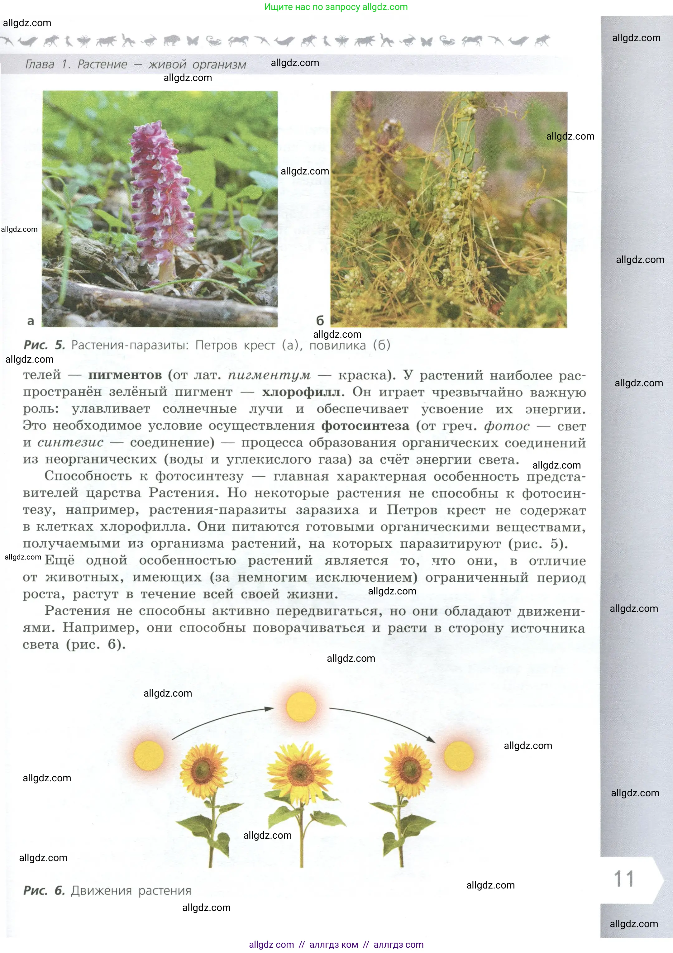 Биология, 6 класс Учебник, авторы: Пасечник Владимир Васильевич, Суматохин Сергей Витальевич, Гапонюк Зоя Георгиевна, Швецов Глеб Геннадьевич, издательство Просвещение, Москва, 2023, белого цвета, страница 11