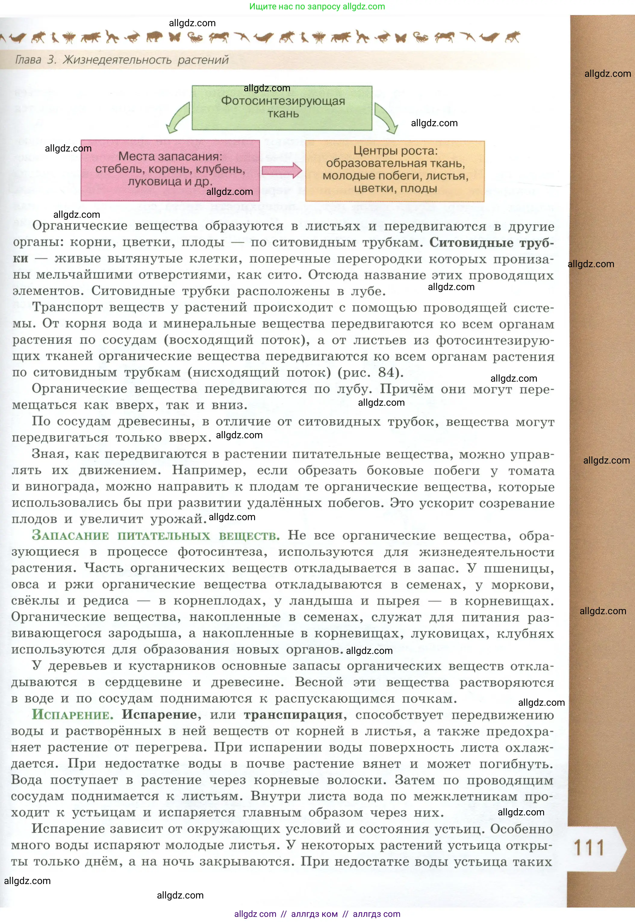 Биология, 6 класс Учебник, авторы: Пасечник Владимир Васильевич, Суматохин Сергей Витальевич, Гапонюк Зоя Георгиевна, Швецов Глеб Геннадьевич, издательство Просвещение, Москва, 2023, белого цвета, страница 111