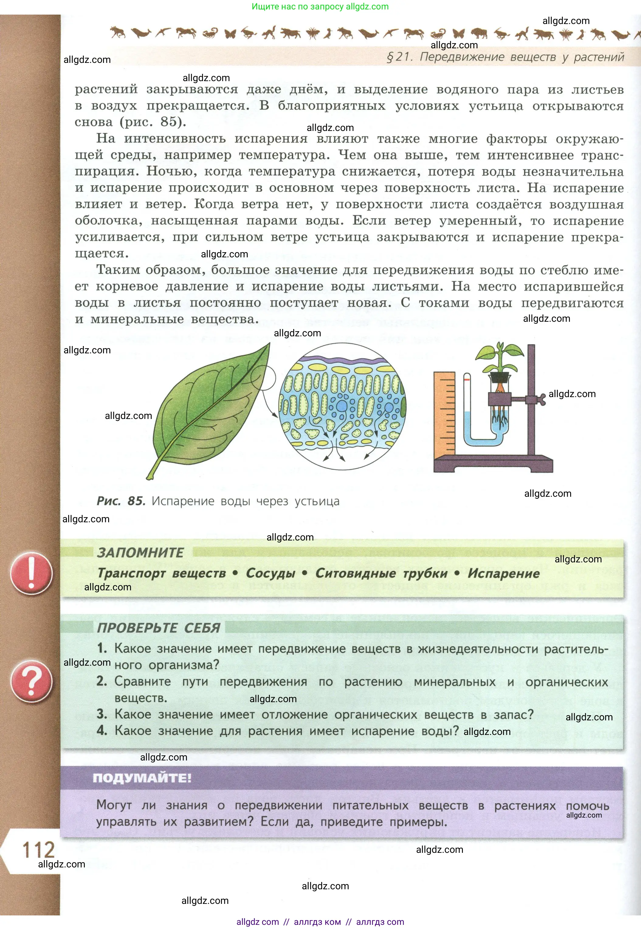 Биология, 6 класс Учебник, авторы: Пасечник Владимир Васильевич, Суматохин Сергей Витальевич, Гапонюк Зоя Георгиевна, Швецов Глеб Геннадьевич, издательство Просвещение, Москва, 2023, белого цвета, страница 112