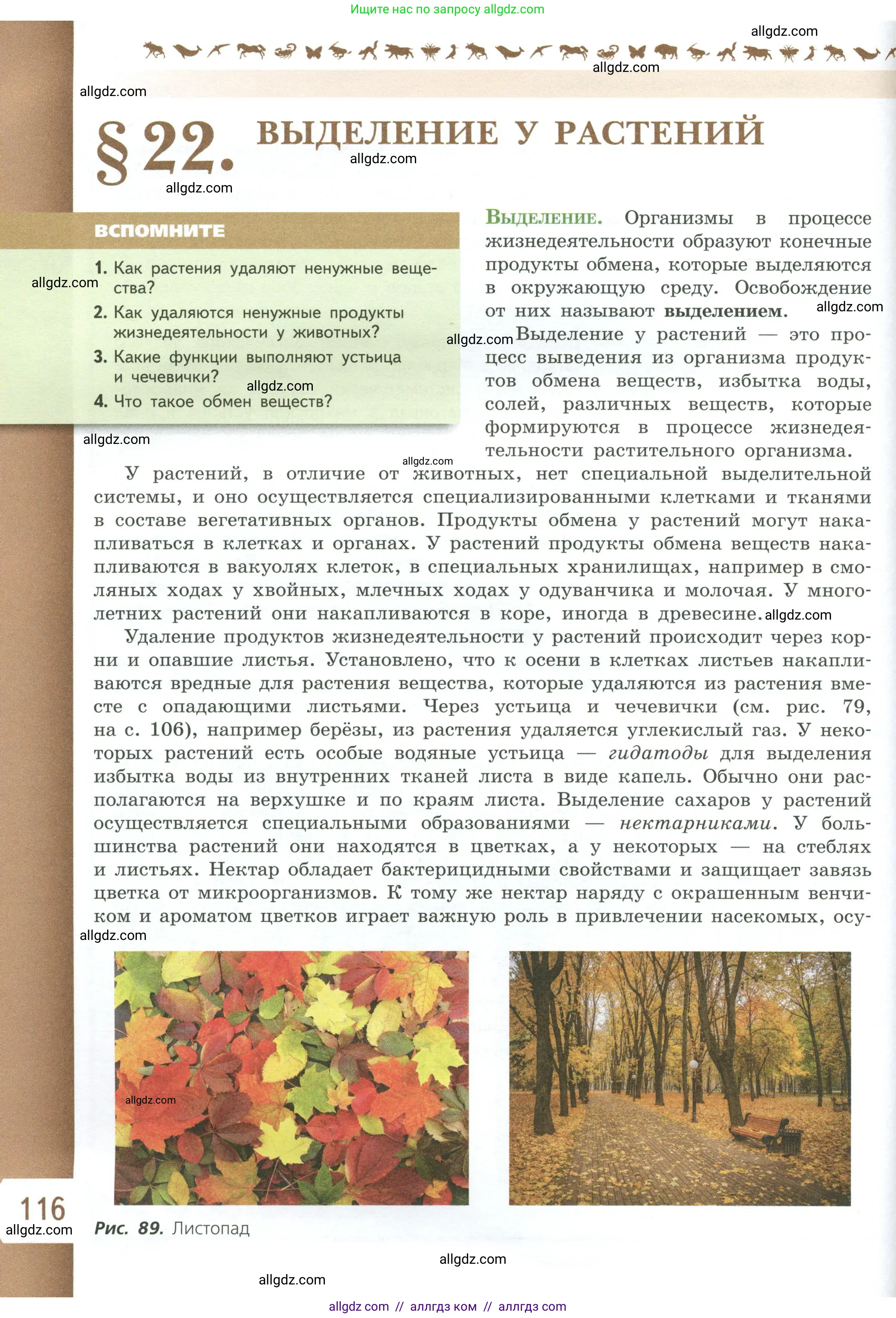 Биология, 6 класс Учебник, авторы: Пасечник Владимир Васильевич, Суматохин Сергей Витальевич, Гапонюк Зоя Георгиевна, Швецов Глеб Геннадьевич, издательство Просвещение, Москва, 2023, белого цвета, страница 116