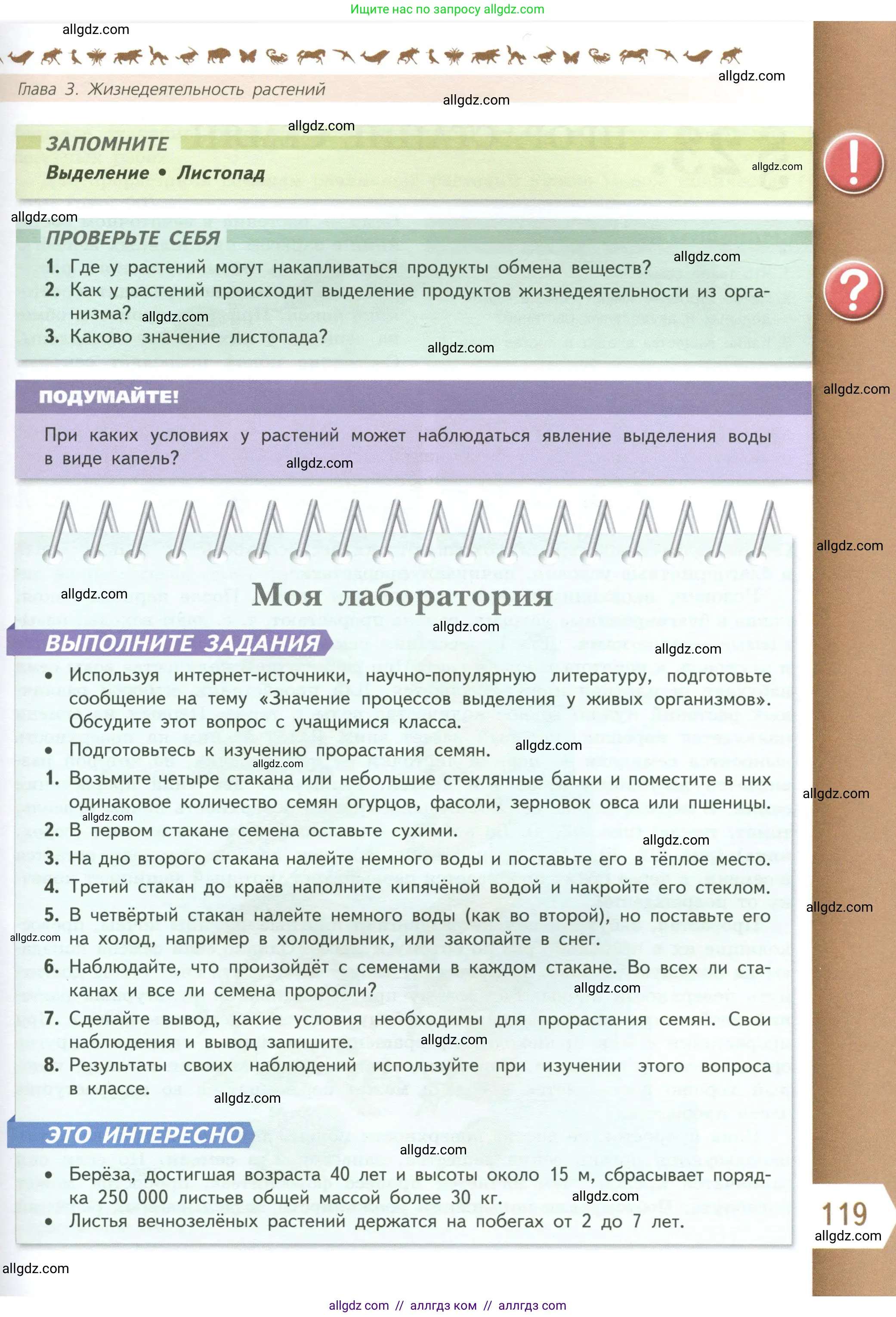 Биология, 6 класс Учебник, авторы: Пасечник Владимир Васильевич, Суматохин Сергей Витальевич, Гапонюк Зоя Георгиевна, Швецов Глеб Геннадьевич, издательство Просвещение, Москва, 2023, белого цвета, страница 119