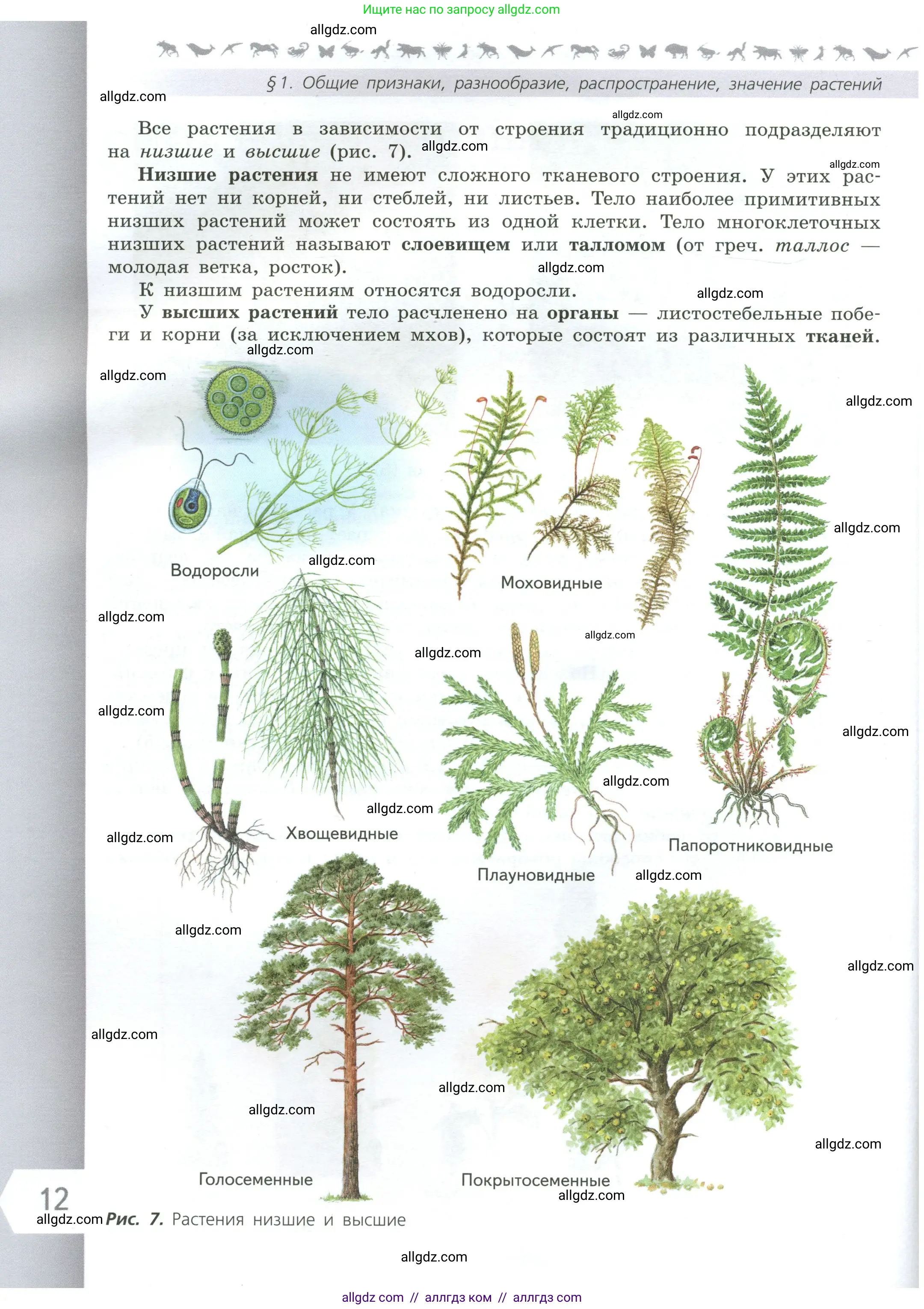 Биология, 6 класс Учебник, авторы: Пасечник Владимир Васильевич, Суматохин Сергей Витальевич, Гапонюк Зоя Георгиевна, Швецов Глеб Геннадьевич, издательство Просвещение, Москва, 2023, белого цвета, страница 12