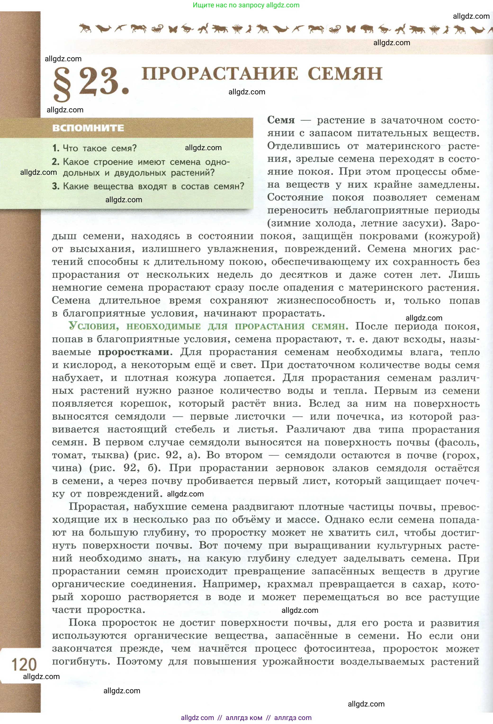 Биология, 6 класс Учебник, авторы: Пасечник Владимир Васильевич, Суматохин Сергей Витальевич, Гапонюк Зоя Георгиевна, Швецов Глеб Геннадьевич, издательство Просвещение, Москва, 2023, белого цвета, страница 120