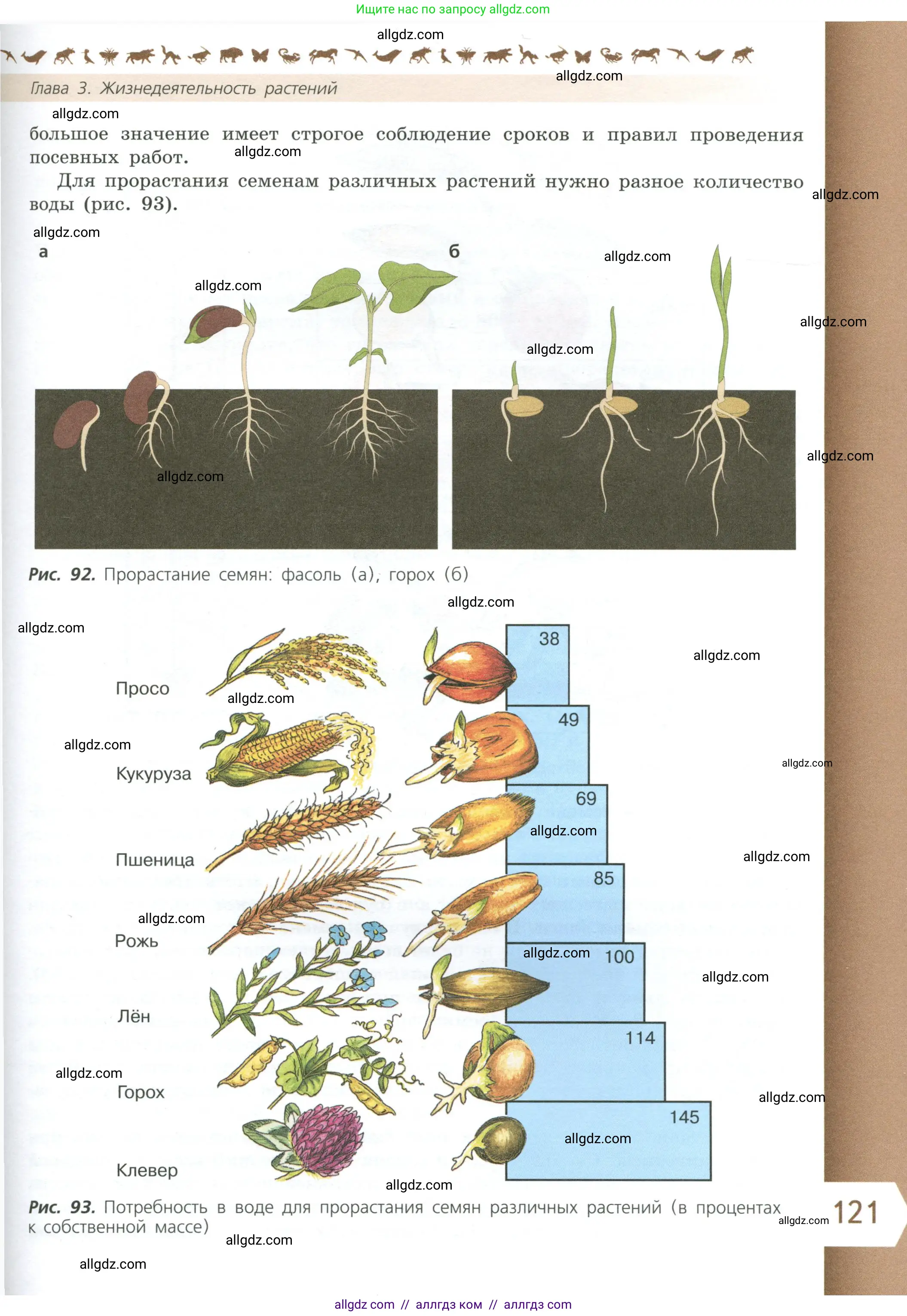 Биология, 6 класс Учебник, авторы: Пасечник Владимир Васильевич, Суматохин Сергей Витальевич, Гапонюк Зоя Георгиевна, Швецов Глеб Геннадьевич, издательство Просвещение, Москва, 2023, белого цвета, страница 121