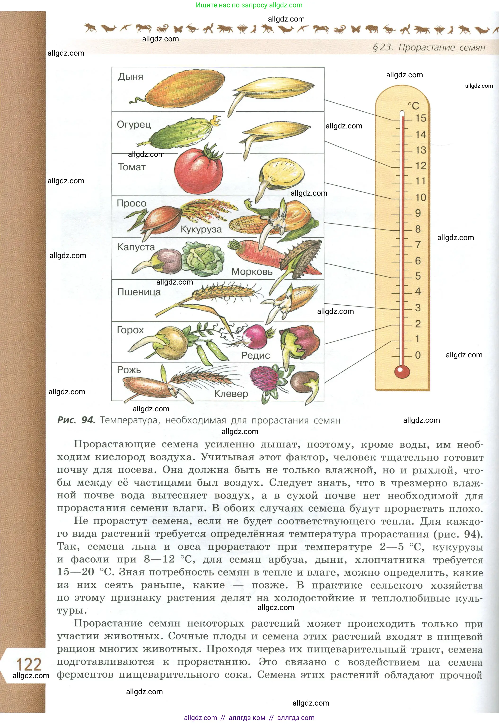 Биология, 6 класс Учебник, авторы: Пасечник Владимир Васильевич, Суматохин Сергей Витальевич, Гапонюк Зоя Георгиевна, Швецов Глеб Геннадьевич, издательство Просвещение, Москва, 2023, белого цвета, страница 122