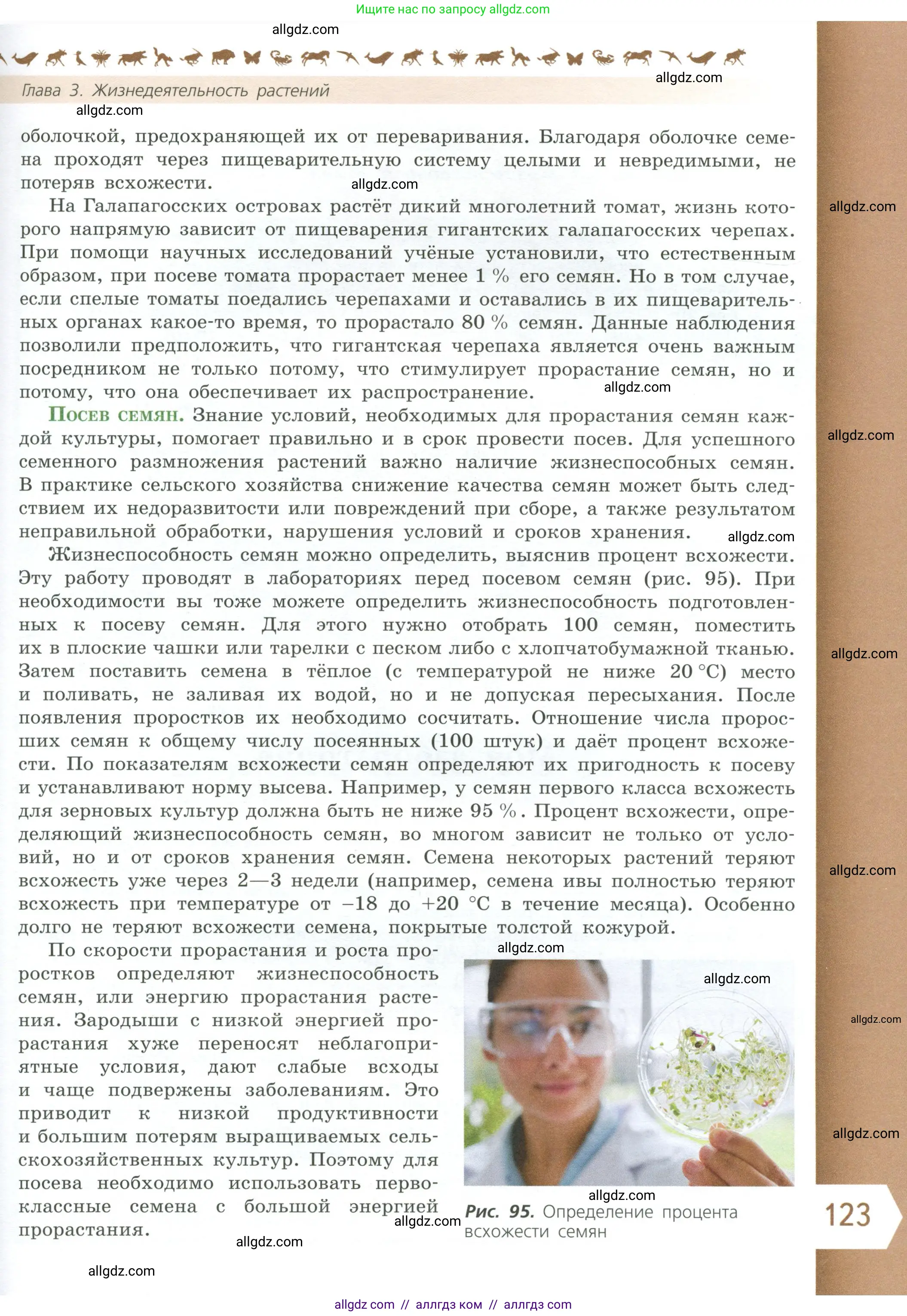 Биология, 6 класс Учебник, авторы: Пасечник Владимир Васильевич, Суматохин Сергей Витальевич, Гапонюк Зоя Георгиевна, Швецов Глеб Геннадьевич, издательство Просвещение, Москва, 2023, белого цвета, страница 123