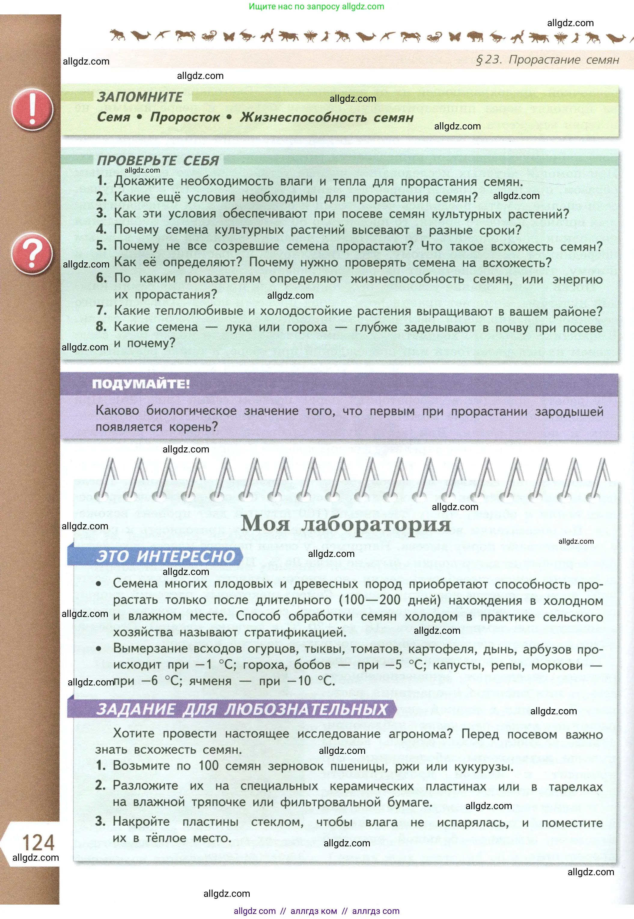 Биология, 6 класс Учебник, авторы: Пасечник Владимир Васильевич, Суматохин Сергей Витальевич, Гапонюк Зоя Георгиевна, Швецов Глеб Геннадьевич, издательство Просвещение, Москва, 2023, белого цвета, страница 124