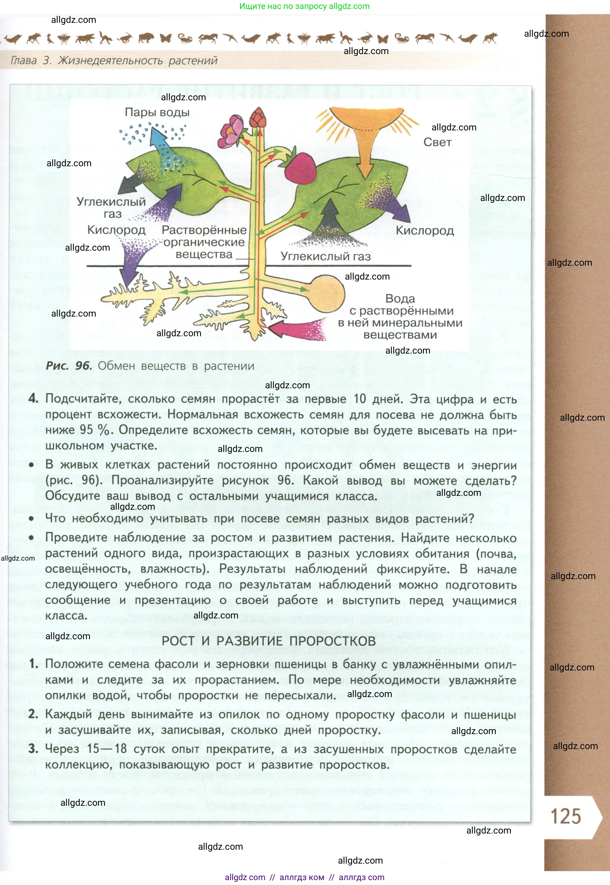 Биология, 6 класс Учебник, авторы: Пасечник Владимир Васильевич, Суматохин Сергей Витальевич, Гапонюк Зоя Георгиевна, Швецов Глеб Геннадьевич, издательство Просвещение, Москва, 2023, белого цвета, страница 125