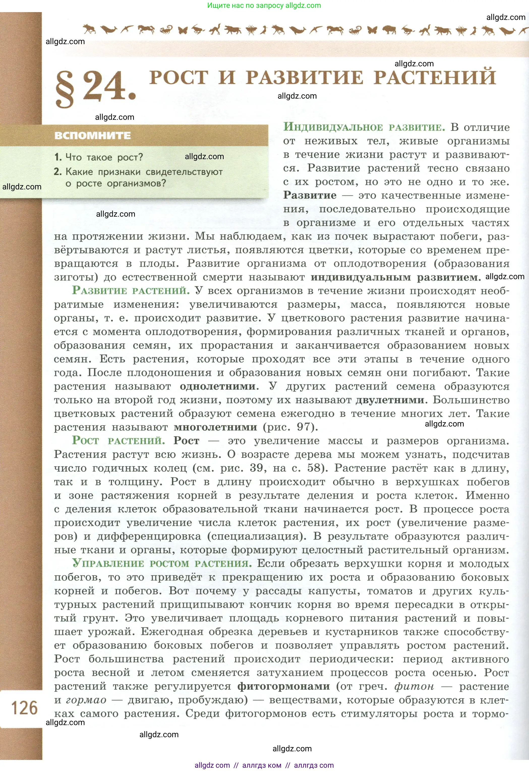 Биология, 6 класс Учебник, авторы: Пасечник Владимир Васильевич, Суматохин Сергей Витальевич, Гапонюк Зоя Георгиевна, Швецов Глеб Геннадьевич, издательство Просвещение, Москва, 2023, белого цвета, страница 126