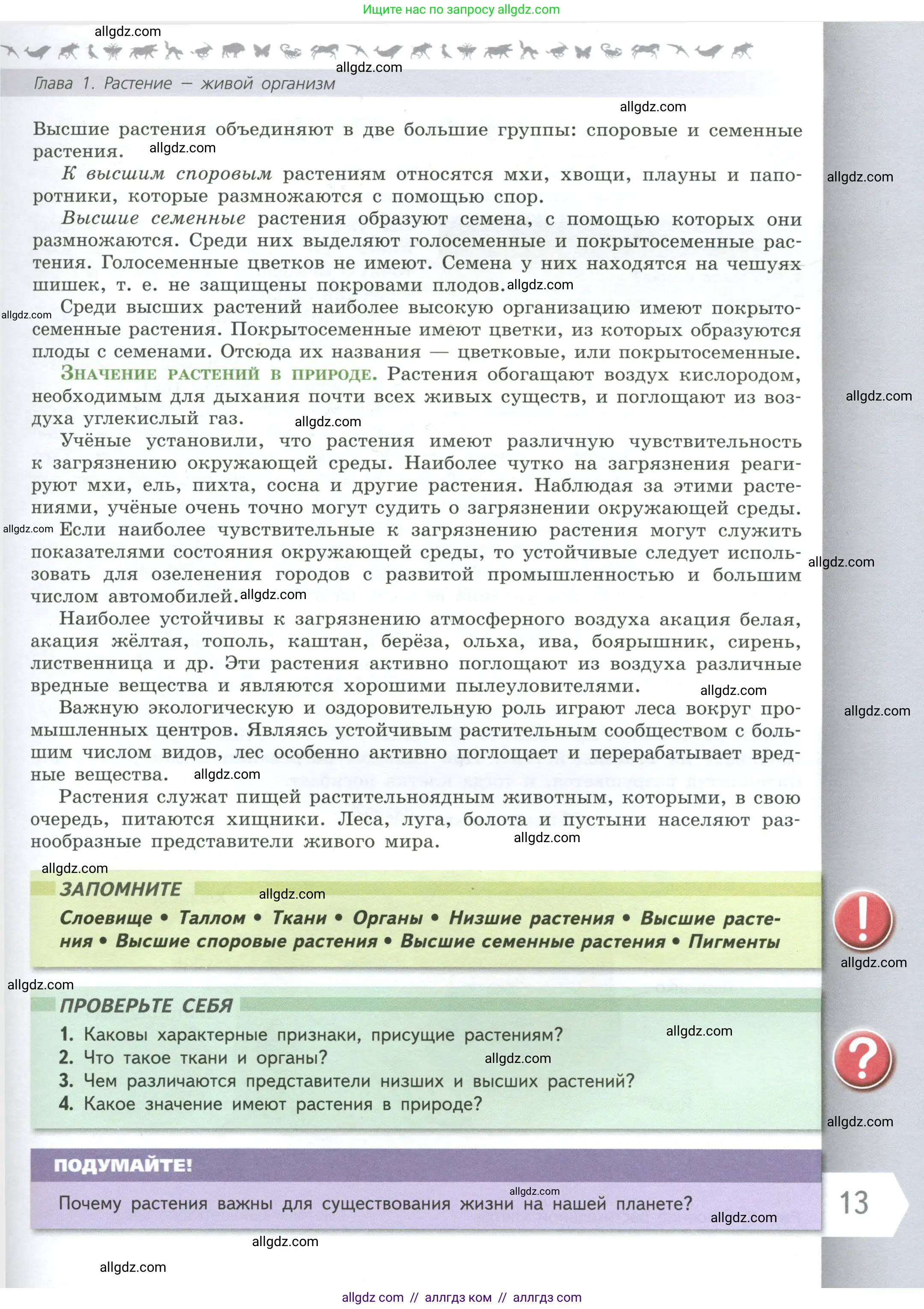 Биология, 6 класс Учебник, авторы: Пасечник Владимир Васильевич, Суматохин Сергей Витальевич, Гапонюк Зоя Георгиевна, Швецов Глеб Геннадьевич, издательство Просвещение, Москва, 2023, белого цвета, страница 13
