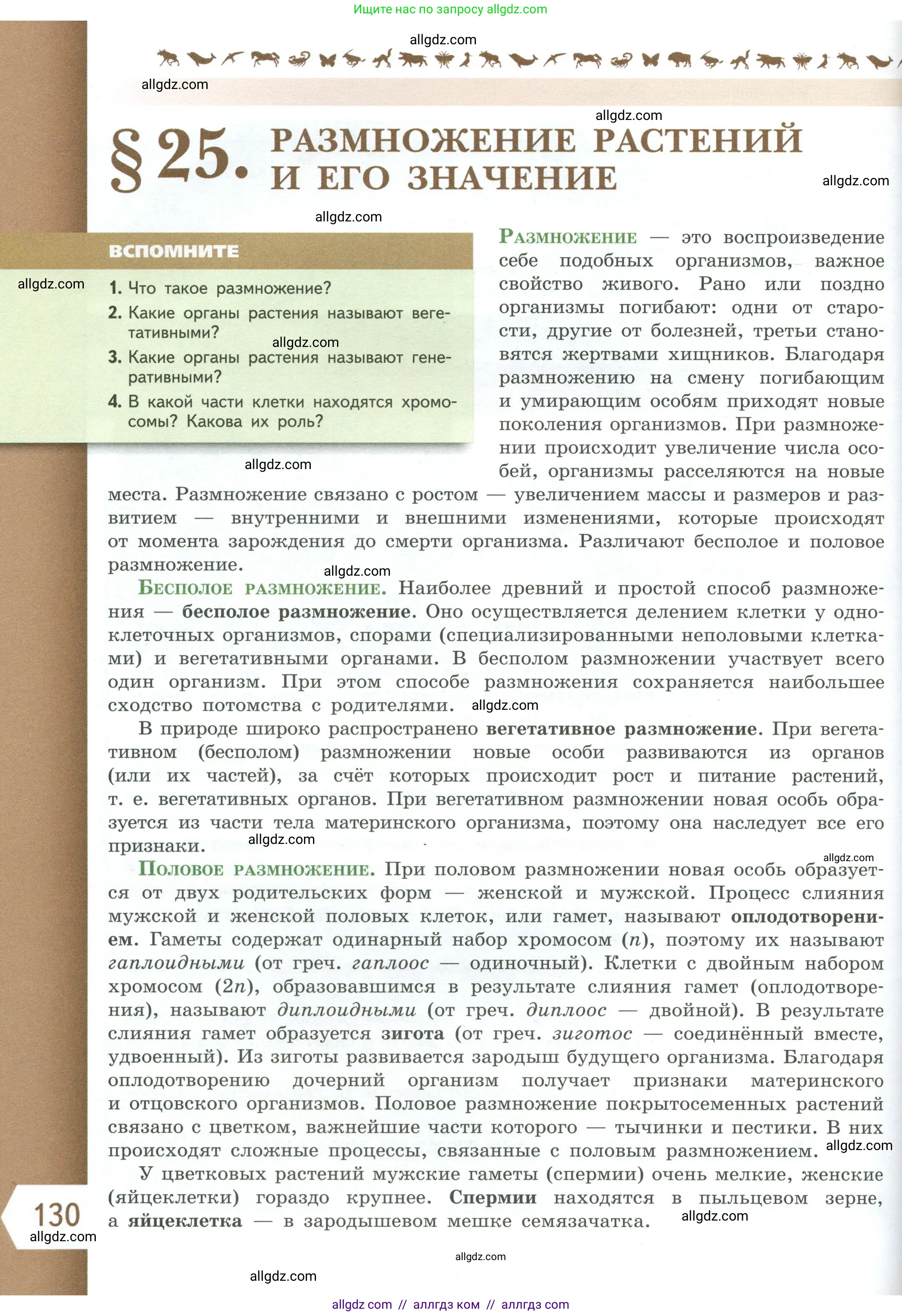 Биология, 6 класс Учебник, авторы: Пасечник Владимир Васильевич, Суматохин Сергей Витальевич, Гапонюк Зоя Георгиевна, Швецов Глеб Геннадьевич, издательство Просвещение, Москва, 2023, белого цвета, страница 130