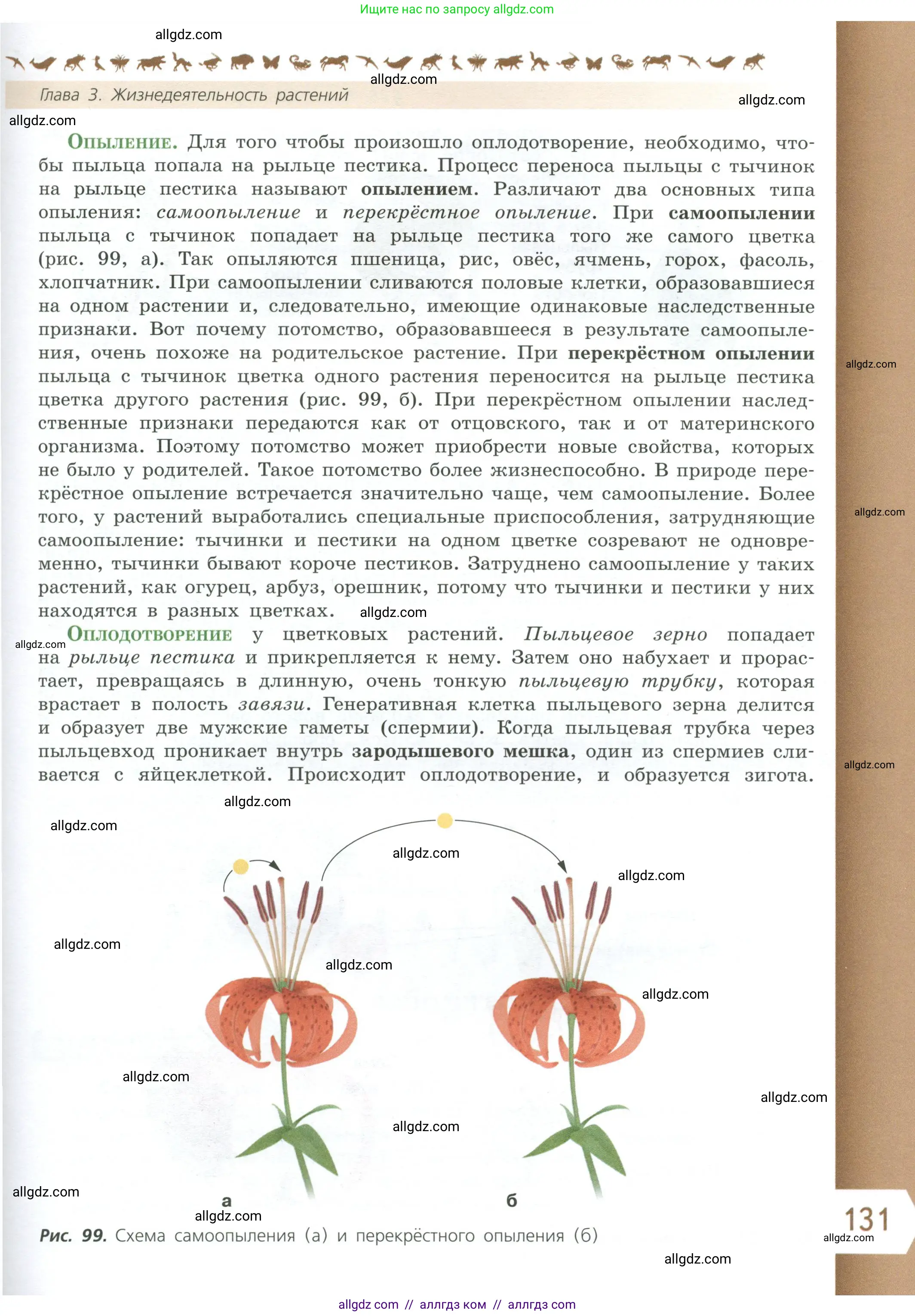 Биология, 6 класс Учебник, авторы: Пасечник Владимир Васильевич, Суматохин Сергей Витальевич, Гапонюк Зоя Георгиевна, Швецов Глеб Геннадьевич, издательство Просвещение, Москва, 2023, белого цвета, страница 131