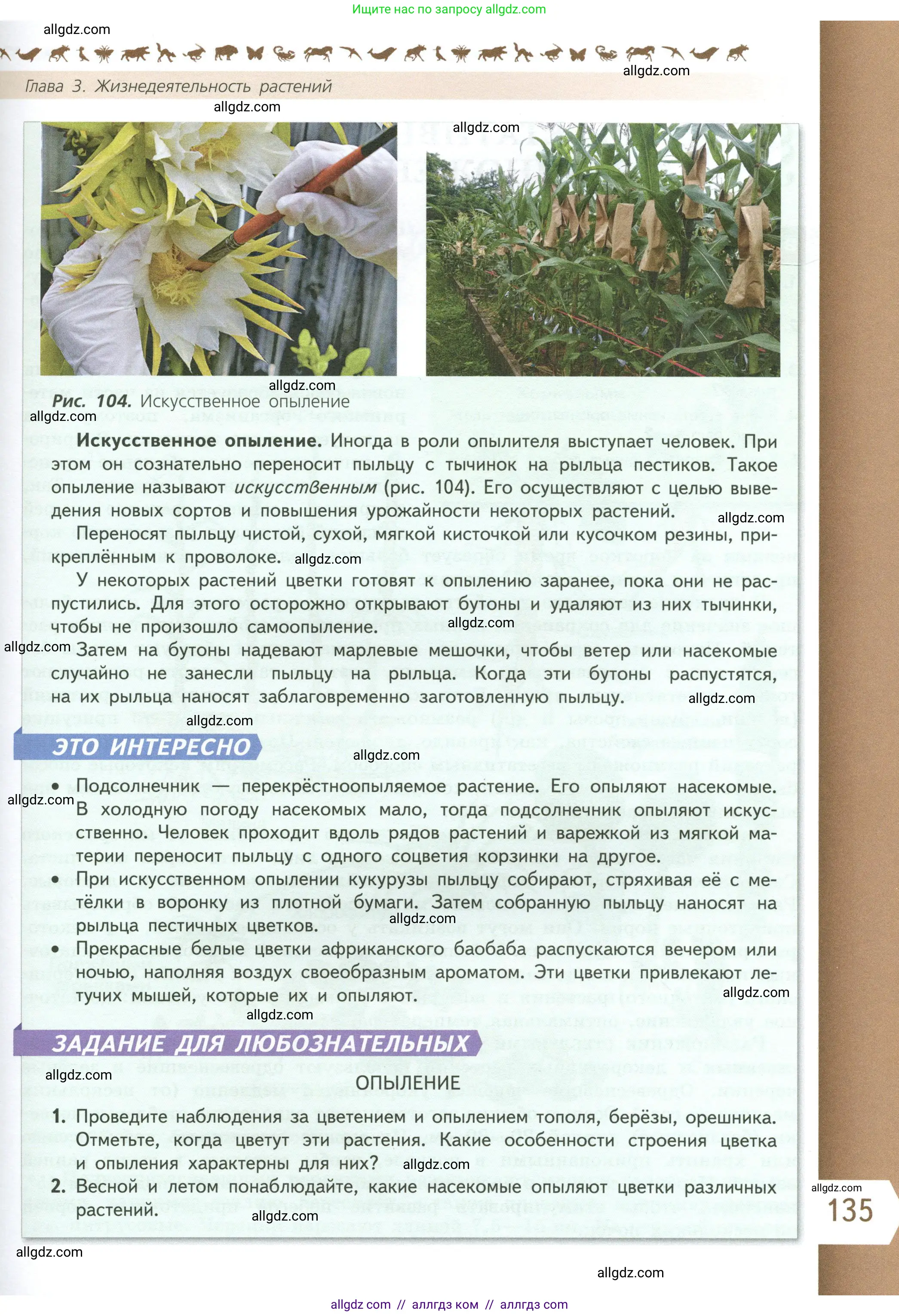 Биология, 6 класс Учебник, авторы: Пасечник Владимир Васильевич, Суматохин Сергей Витальевич, Гапонюк Зоя Георгиевна, Швецов Глеб Геннадьевич, издательство Просвещение, Москва, 2023, белого цвета, страница 135