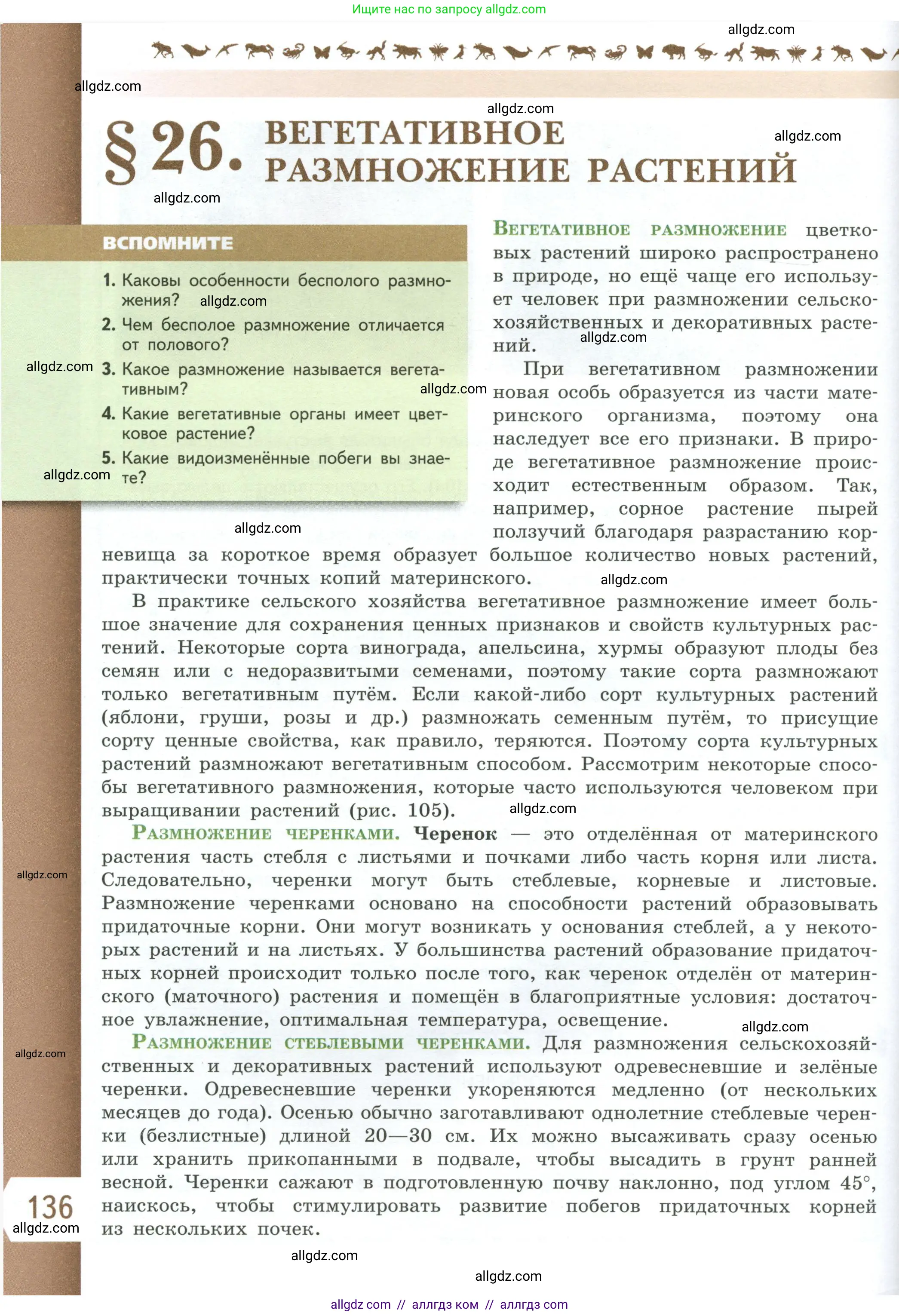 Биология, 6 класс Учебник, авторы: Пасечник Владимир Васильевич, Суматохин Сергей Витальевич, Гапонюк Зоя Георгиевна, Швецов Глеб Геннадьевич, издательство Просвещение, Москва, 2023, белого цвета, страница 136