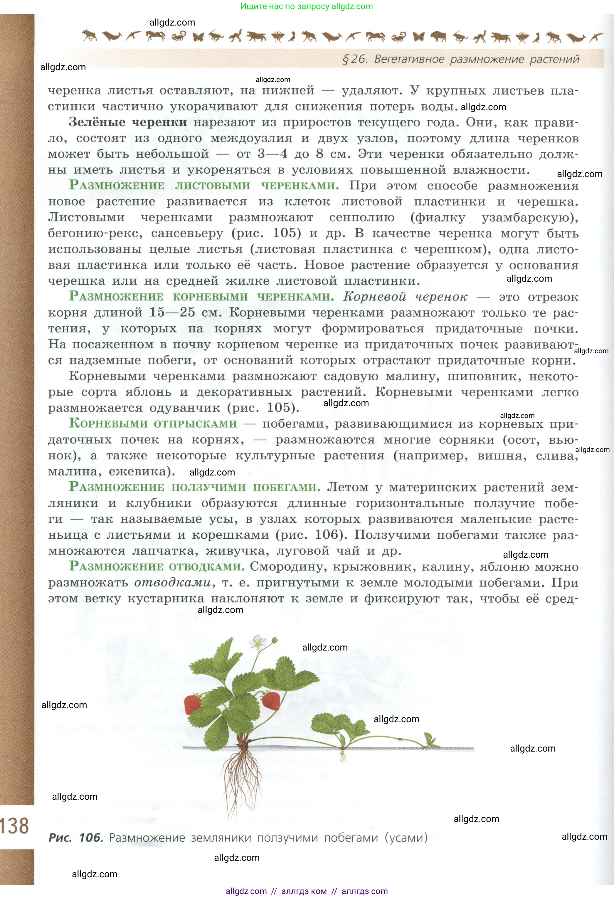 Биология, 6 класс Учебник, авторы: Пасечник Владимир Васильевич, Суматохин Сергей Витальевич, Гапонюк Зоя Георгиевна, Швецов Глеб Геннадьевич, издательство Просвещение, Москва, 2023, белого цвета, страница 138