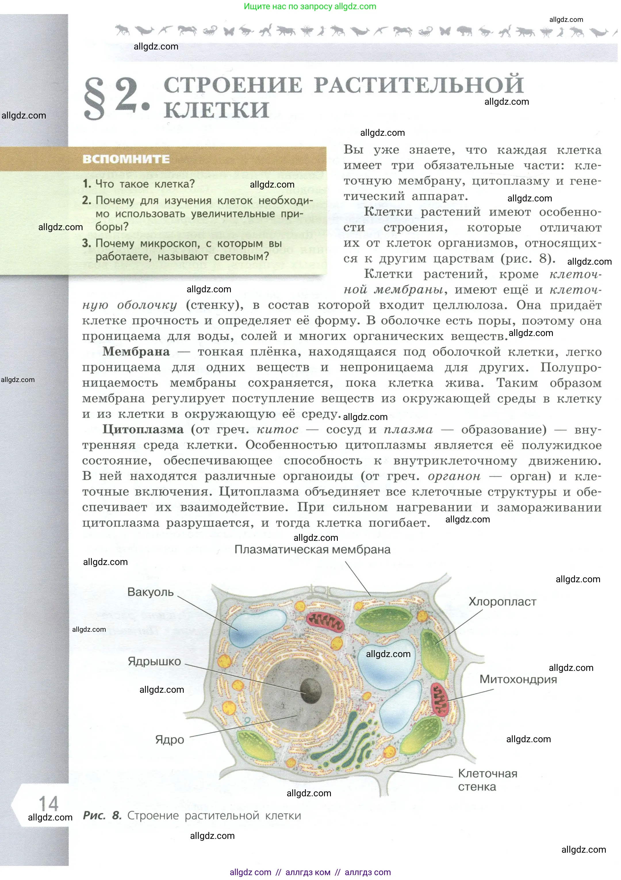 Биология, 6 класс Учебник, авторы: Пасечник Владимир Васильевич, Суматохин Сергей Витальевич, Гапонюк Зоя Георгиевна, Швецов Глеб Геннадьевич, издательство Просвещение, Москва, 2023, белого цвета, страница 14