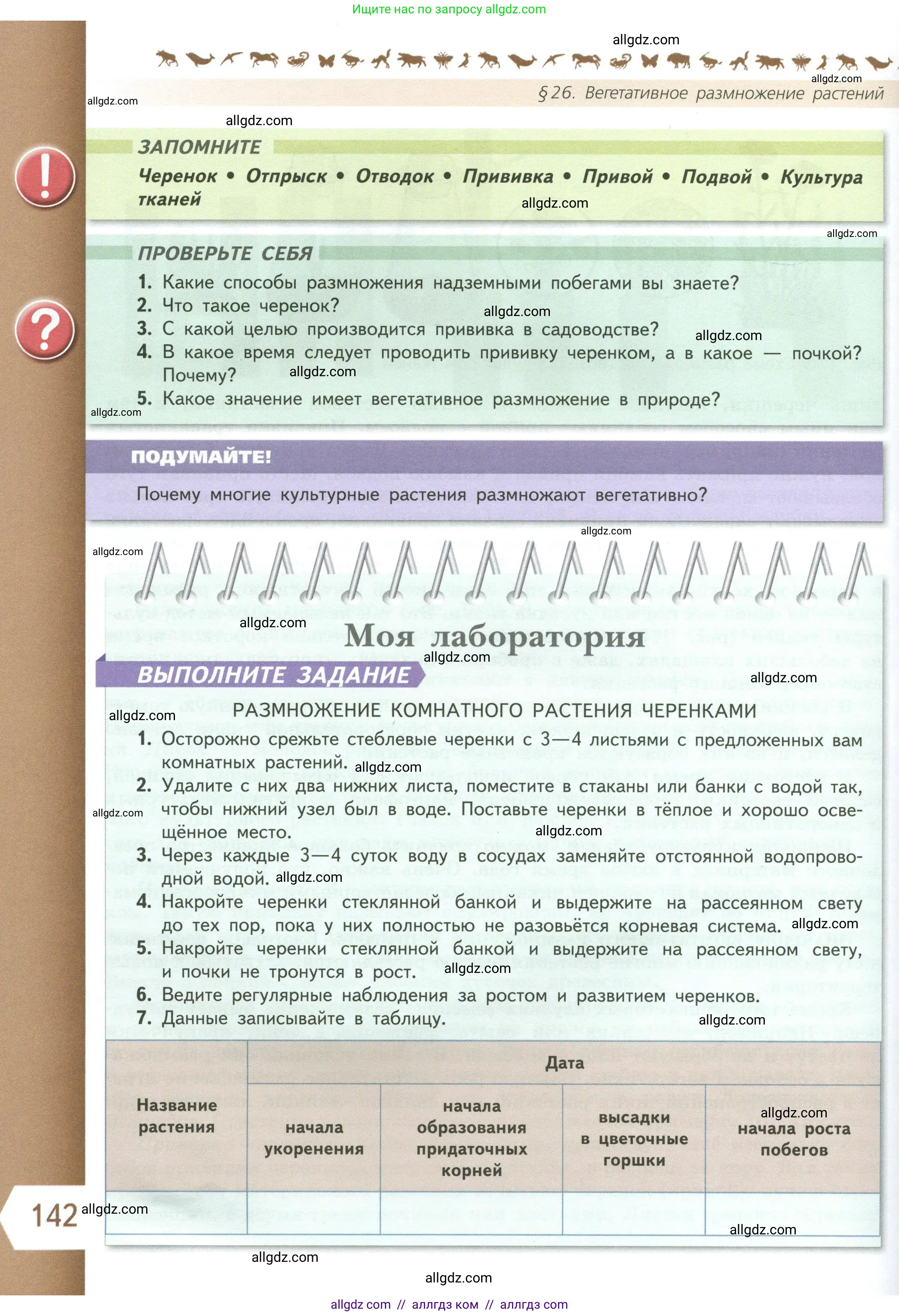 Биология, 6 класс Учебник, авторы: Пасечник Владимир Васильевич, Суматохин Сергей Витальевич, Гапонюк Зоя Георгиевна, Швецов Глеб Геннадьевич, издательство Просвещение, Москва, 2023, белого цвета, страница 142