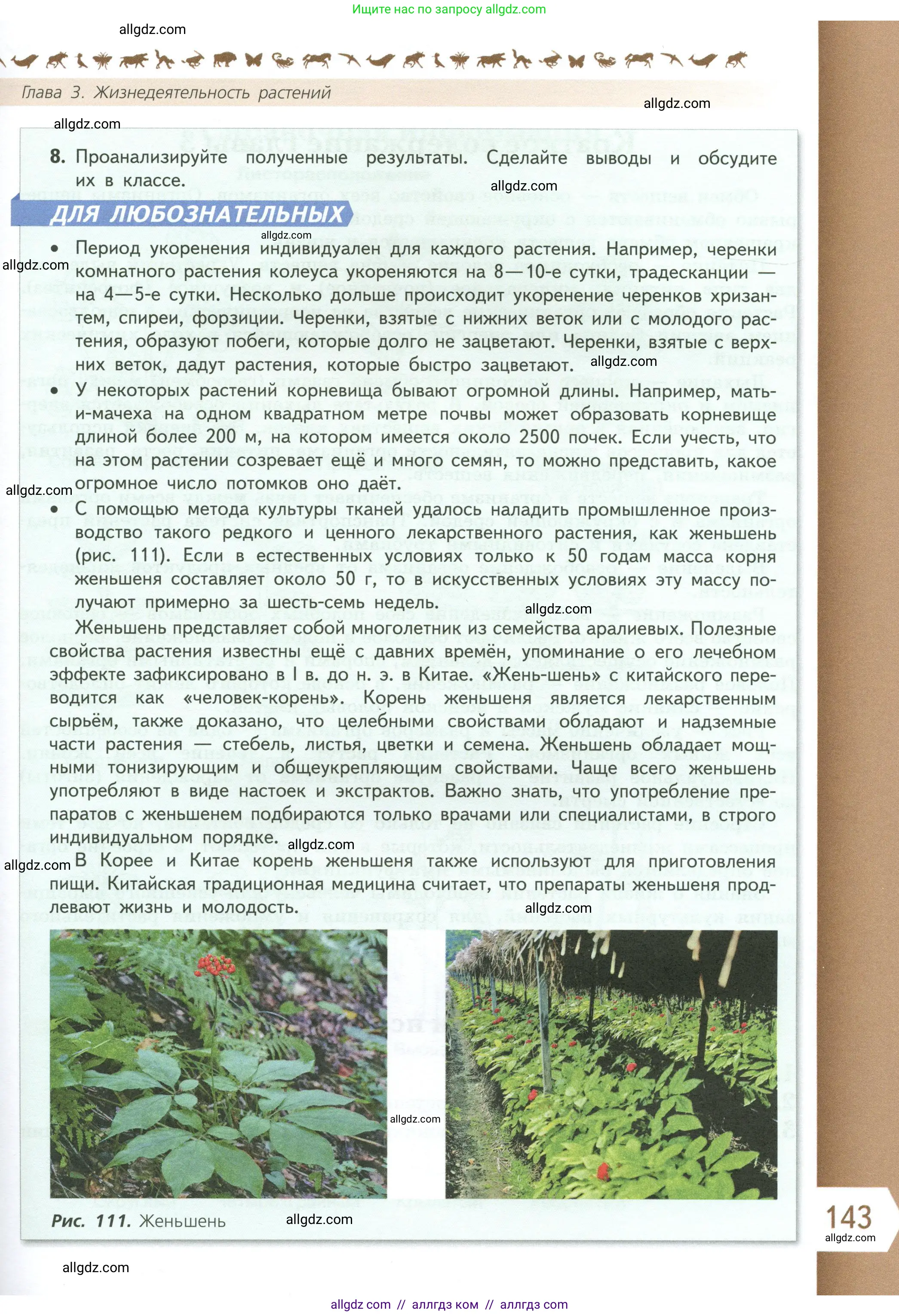 Биология, 6 класс Учебник, авторы: Пасечник Владимир Васильевич, Суматохин Сергей Витальевич, Гапонюк Зоя Георгиевна, Швецов Глеб Геннадьевич, издательство Просвещение, Москва, 2023, белого цвета, страница 143