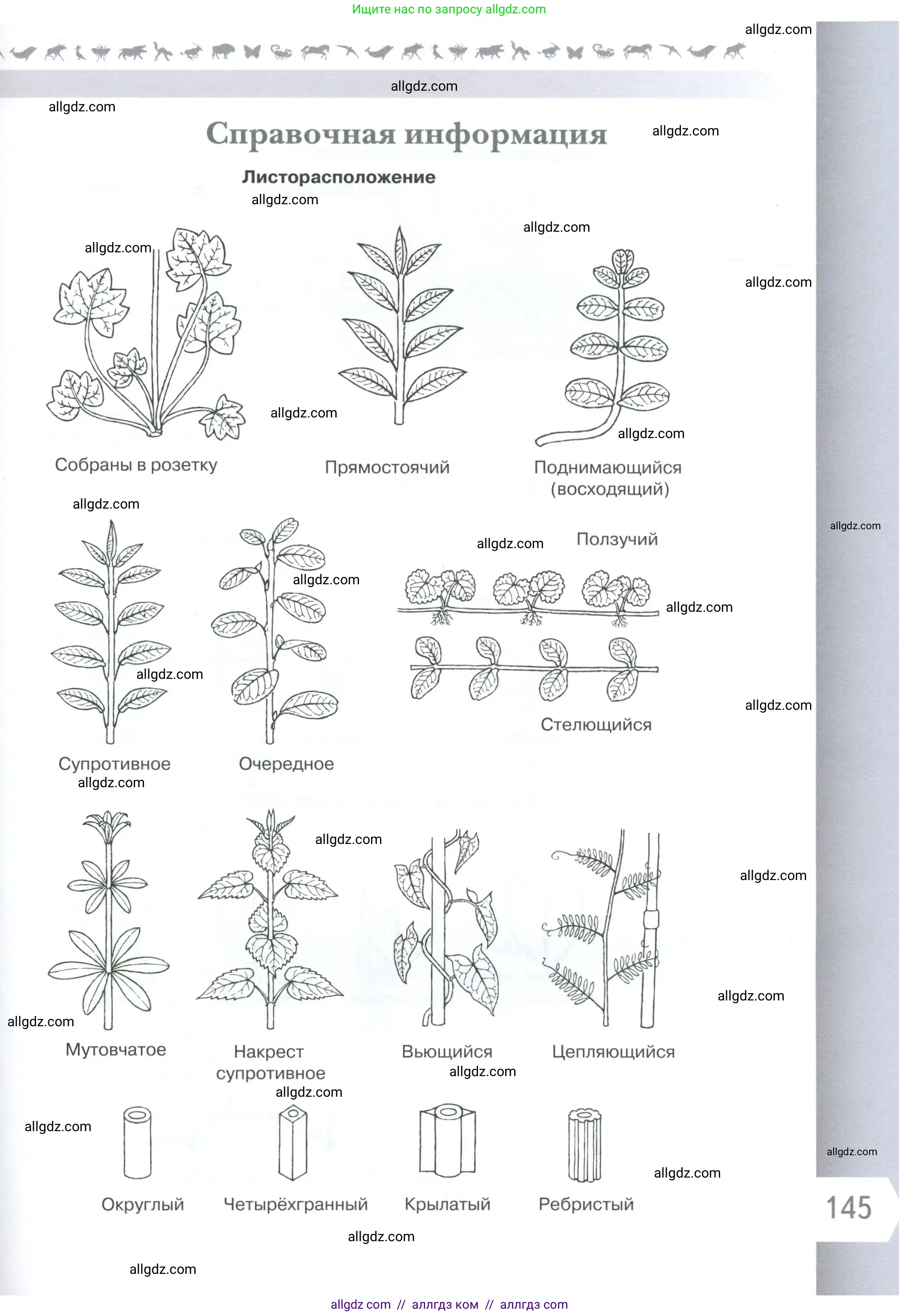 Биология, 6 класс Учебник, авторы: Пасечник Владимир Васильевич, Суматохин Сергей Витальевич, Гапонюк Зоя Георгиевна, Швецов Глеб Геннадьевич, издательство Просвещение, Москва, 2023, белого цвета, страница 145