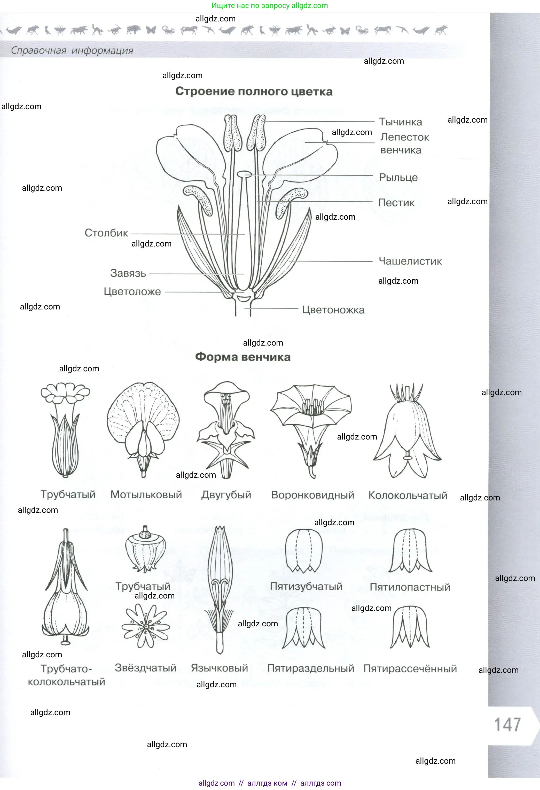 Биология, 6 класс Учебник, авторы: Пасечник Владимир Васильевич, Суматохин Сергей Витальевич, Гапонюк Зоя Георгиевна, Швецов Глеб Геннадьевич, издательство Просвещение, Москва, 2023, белого цвета, страница 147