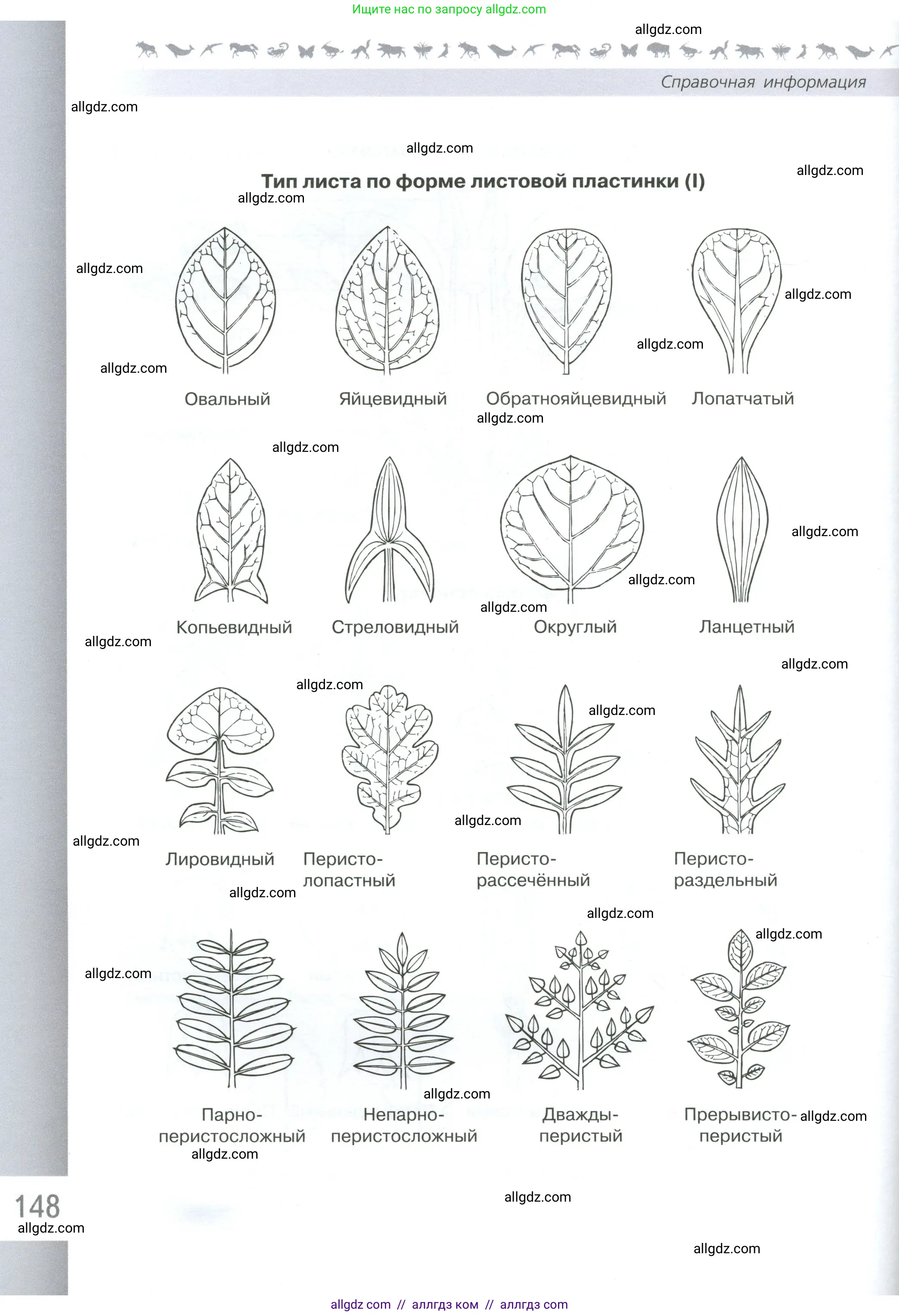 Биология, 6 класс Учебник, авторы: Пасечник Владимир Васильевич, Суматохин Сергей Витальевич, Гапонюк Зоя Георгиевна, Швецов Глеб Геннадьевич, издательство Просвещение, Москва, 2023, белого цвета, страница 148