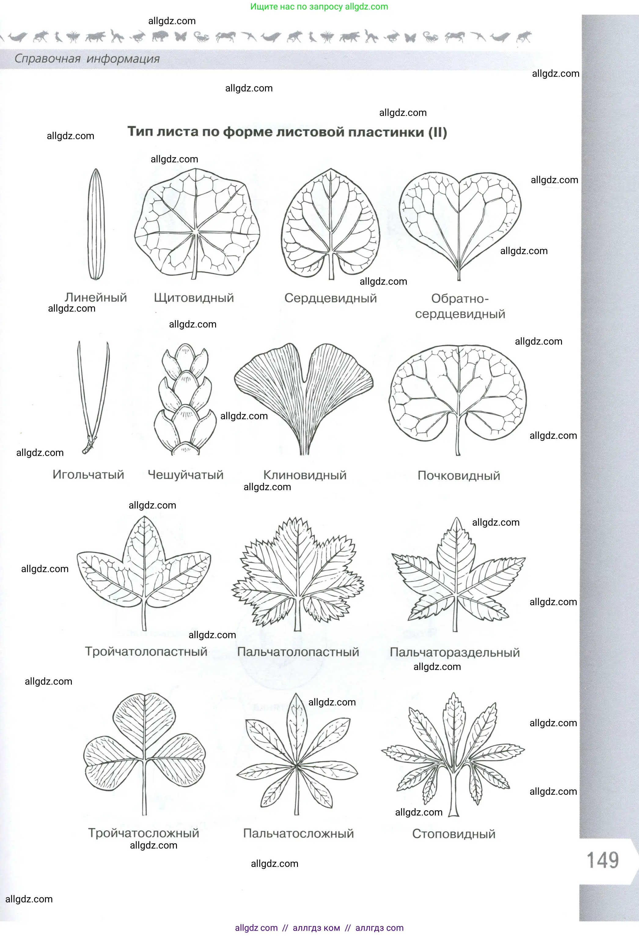 Биология, 6 класс Учебник, авторы: Пасечник Владимир Васильевич, Суматохин Сергей Витальевич, Гапонюк Зоя Георгиевна, Швецов Глеб Геннадьевич, издательство Просвещение, Москва, 2023, белого цвета, страница 149