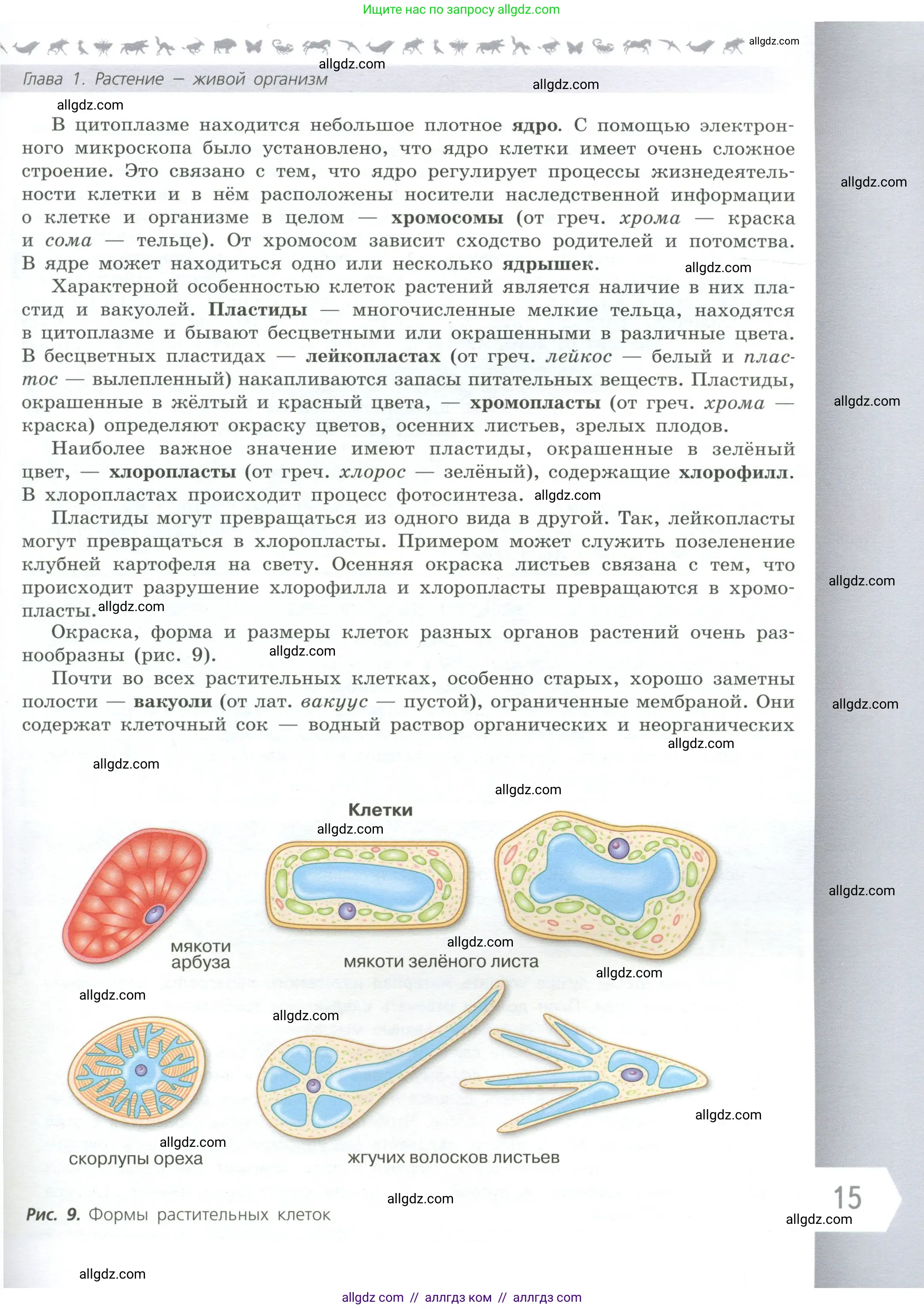 Биология, 6 класс Учебник, авторы: Пасечник Владимир Васильевич, Суматохин Сергей Витальевич, Гапонюк Зоя Георгиевна, Швецов Глеб Геннадьевич, издательство Просвещение, Москва, 2023, белого цвета, страница 15